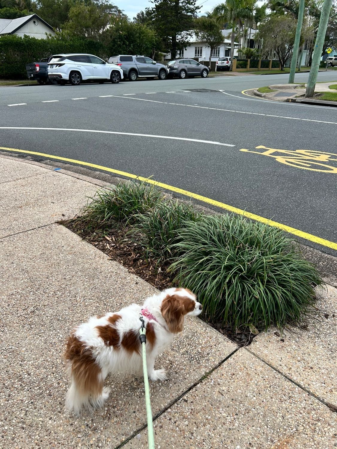 image-17