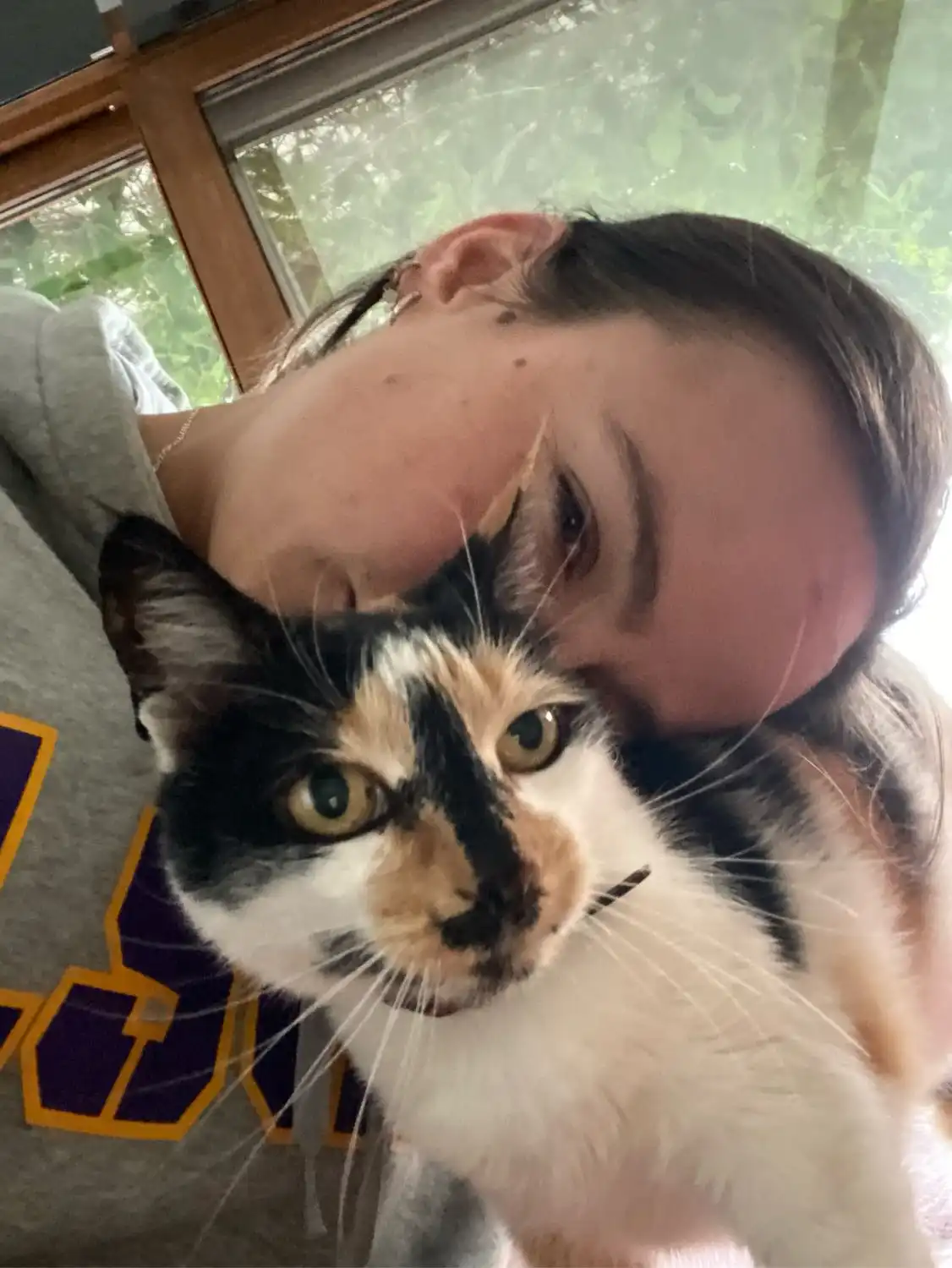 image-6
