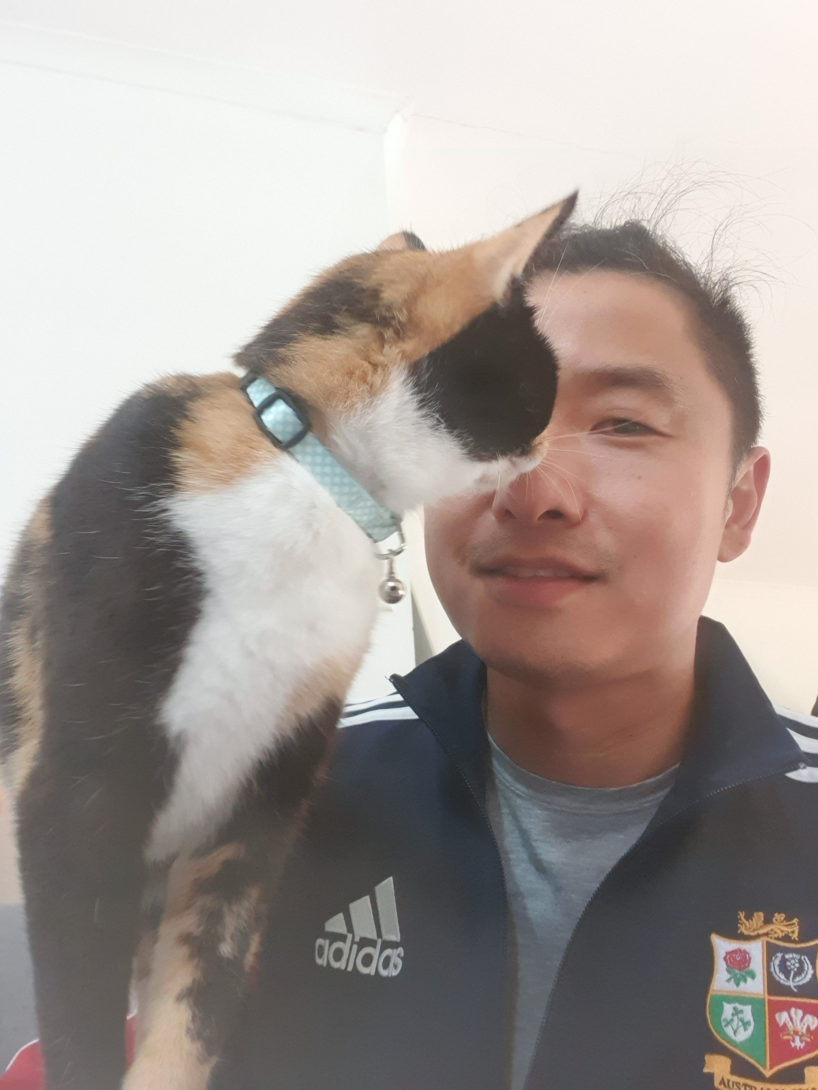 image-7