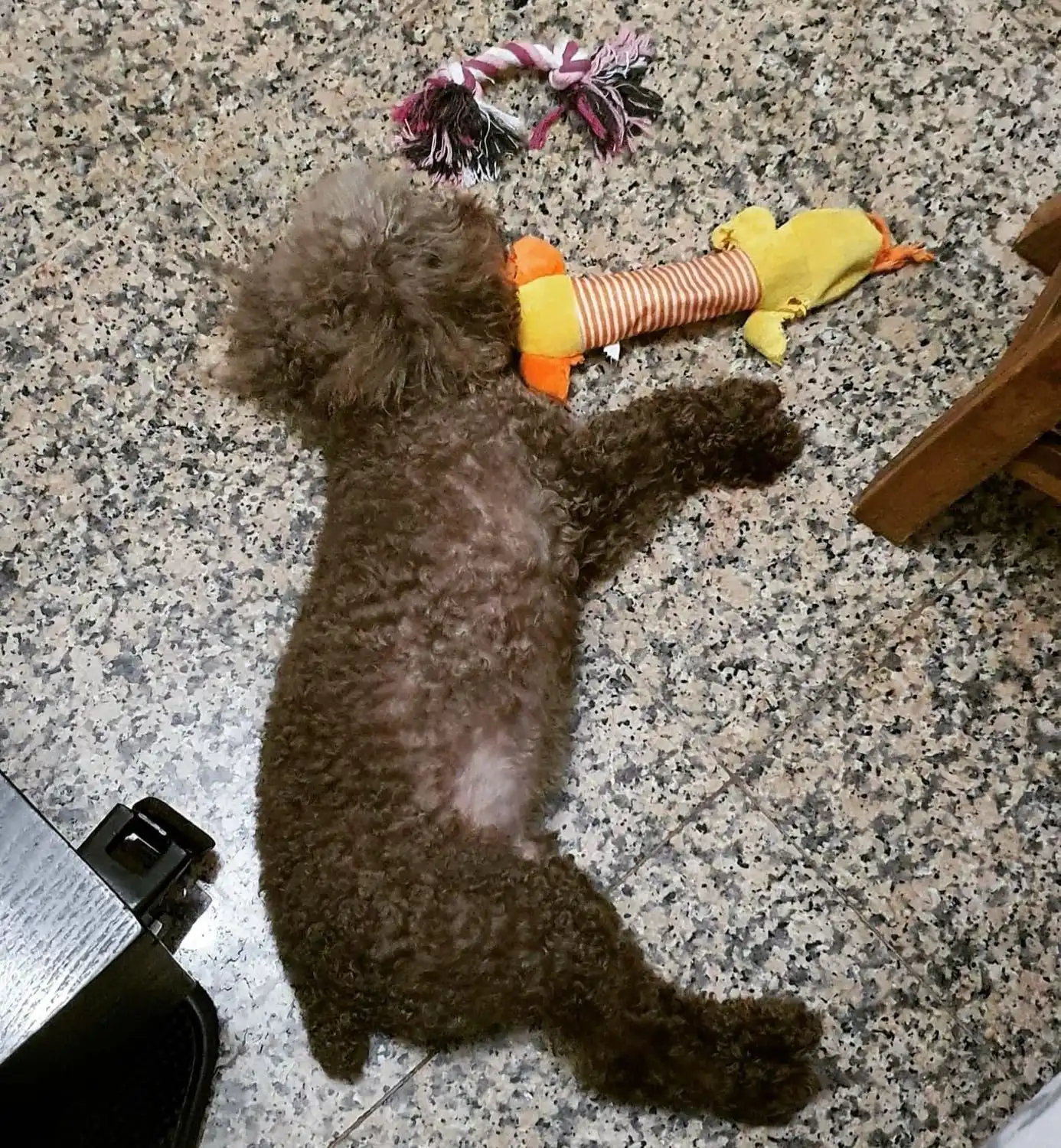 image-16
