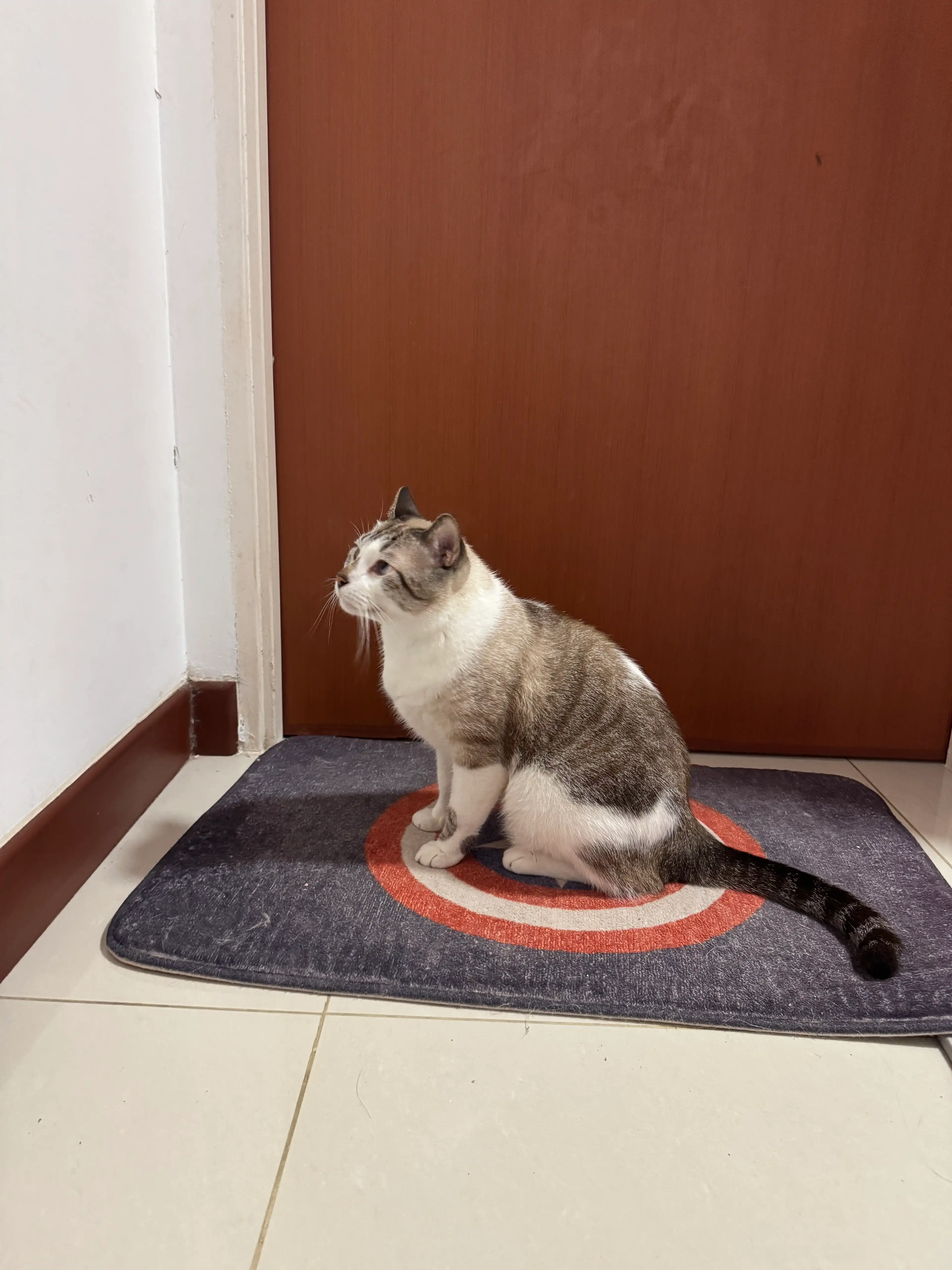 image-18