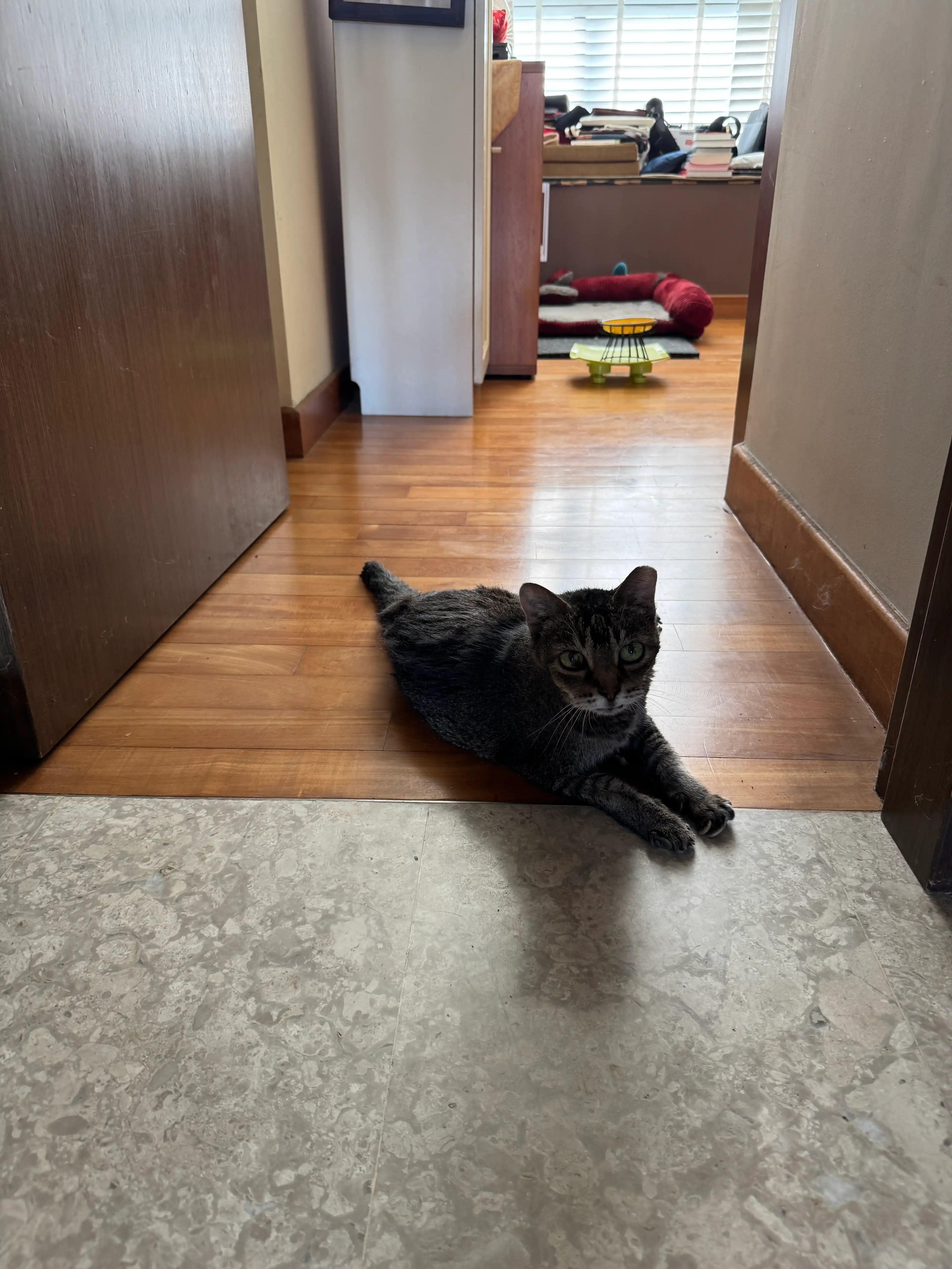 image-12