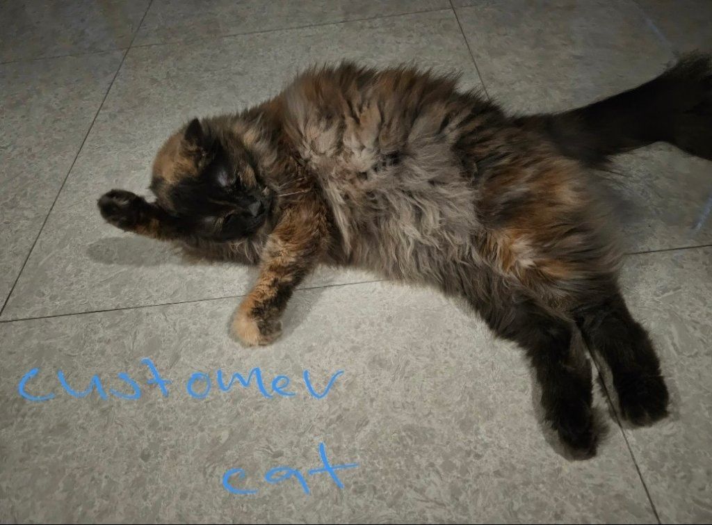 image-41