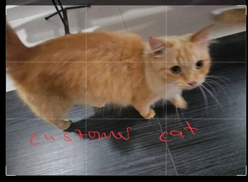 image-48