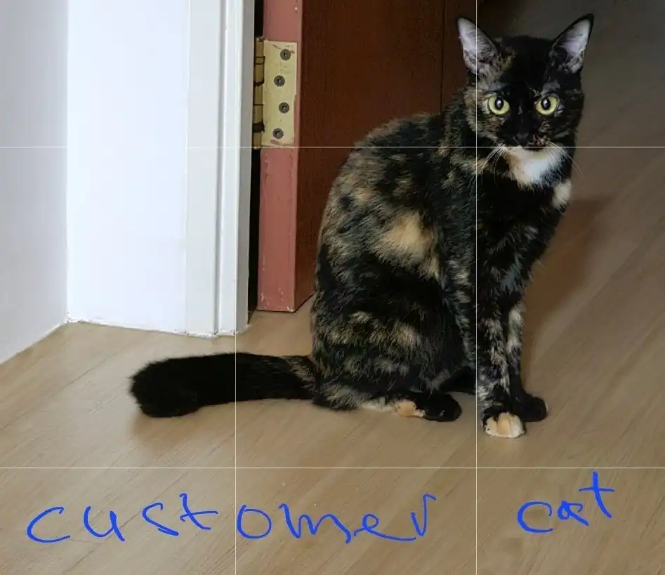 image-61
