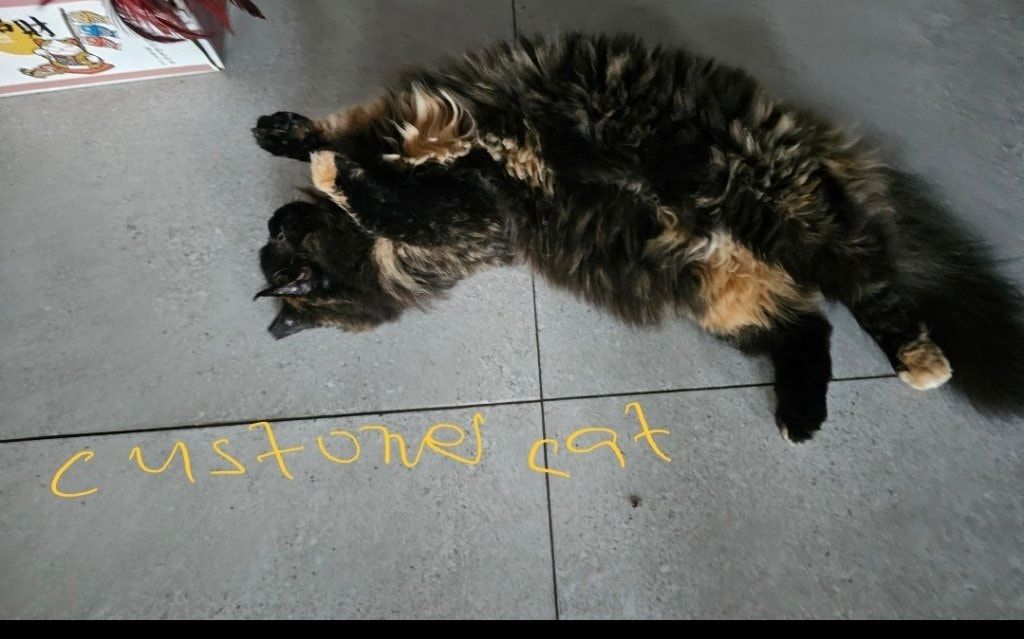 image-45