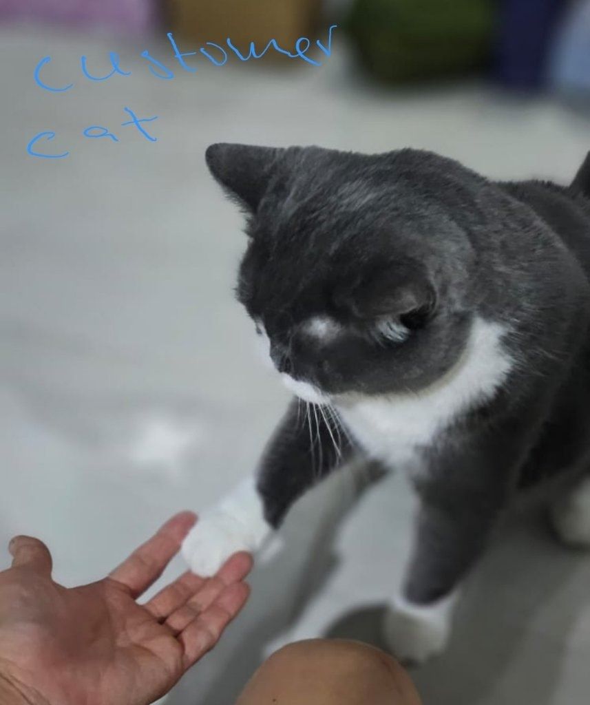 image-47