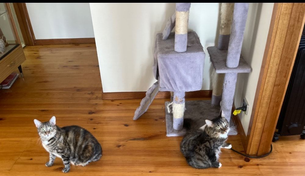 image-18