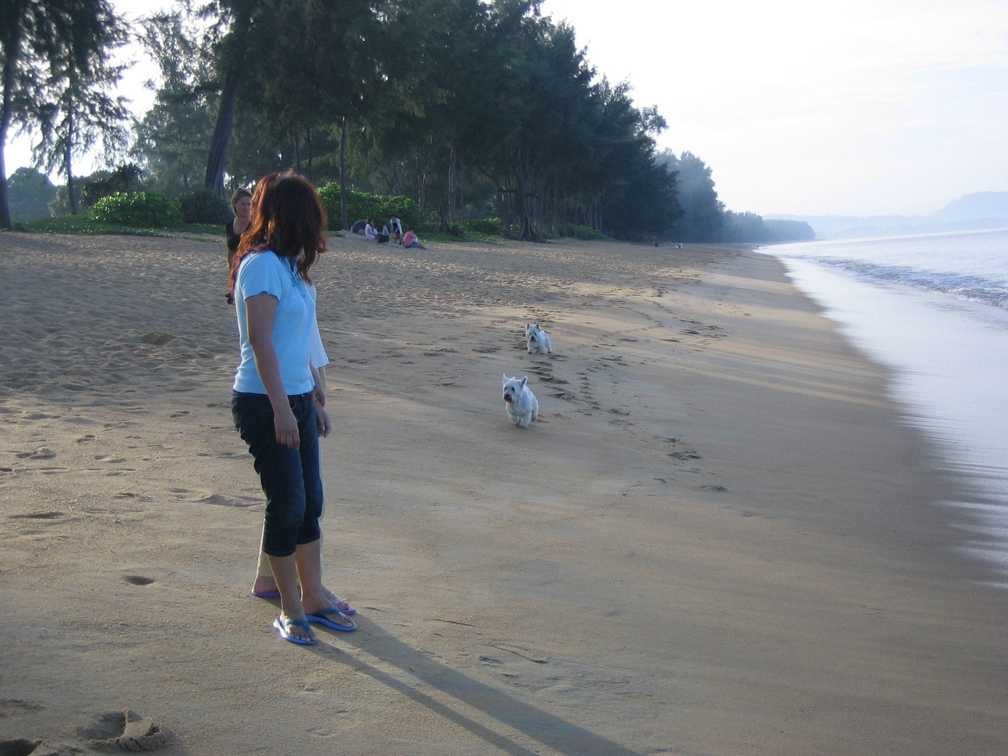 image-0