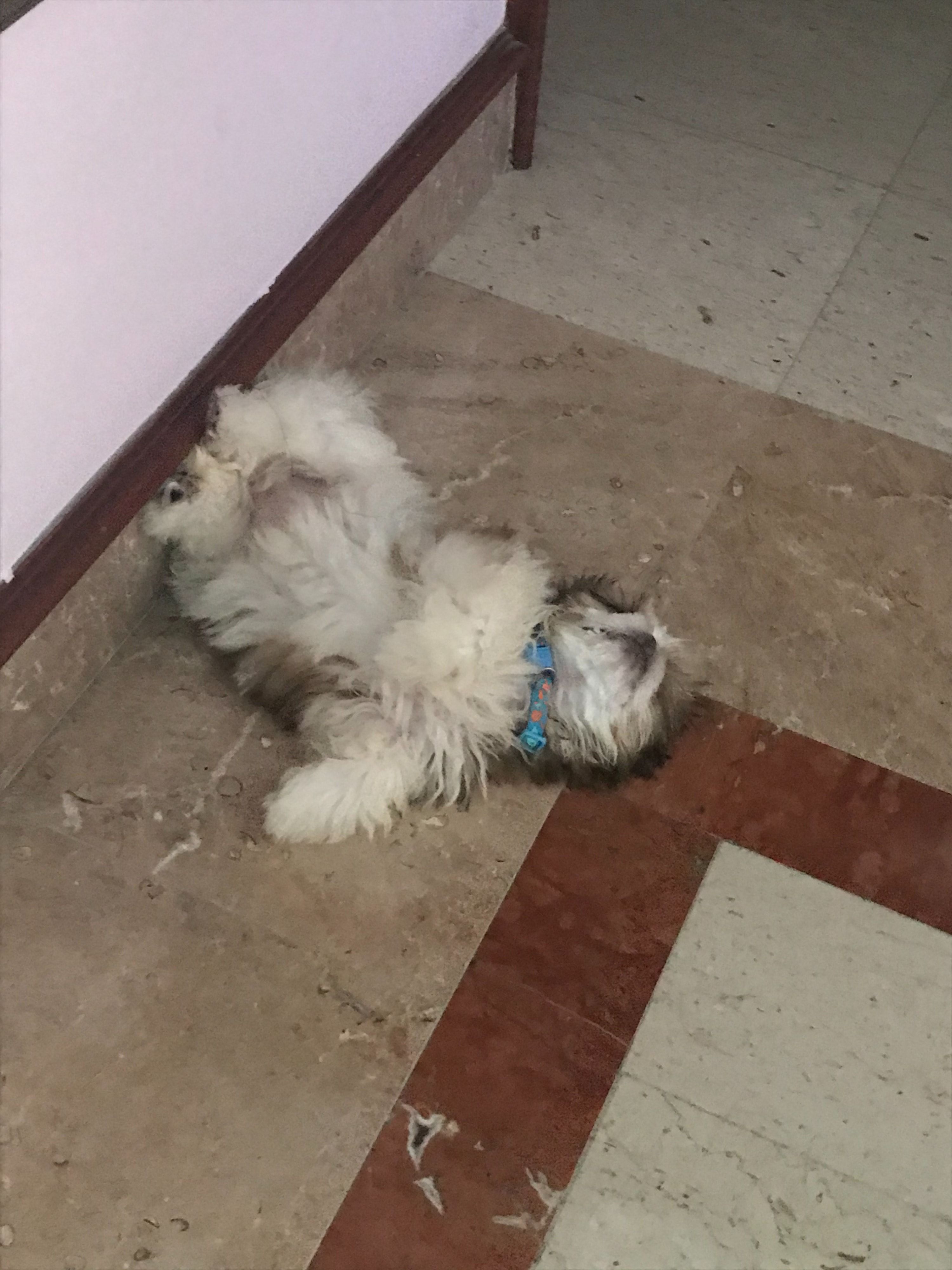 image-5