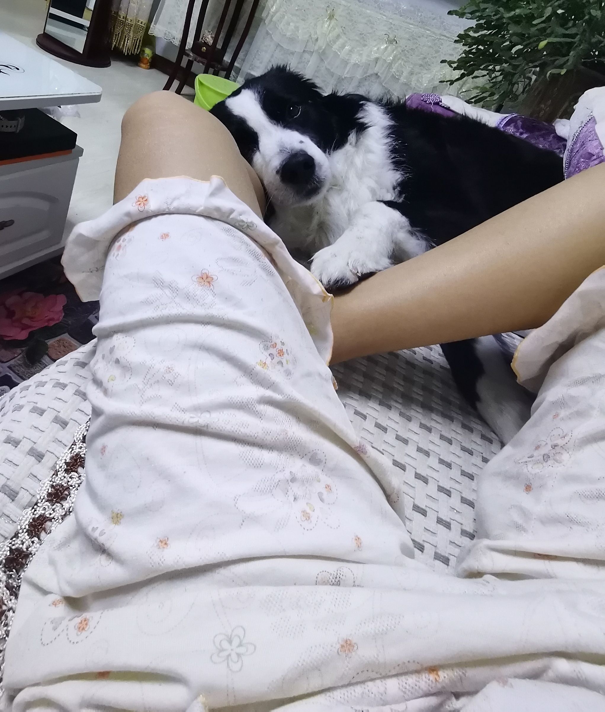 image-4