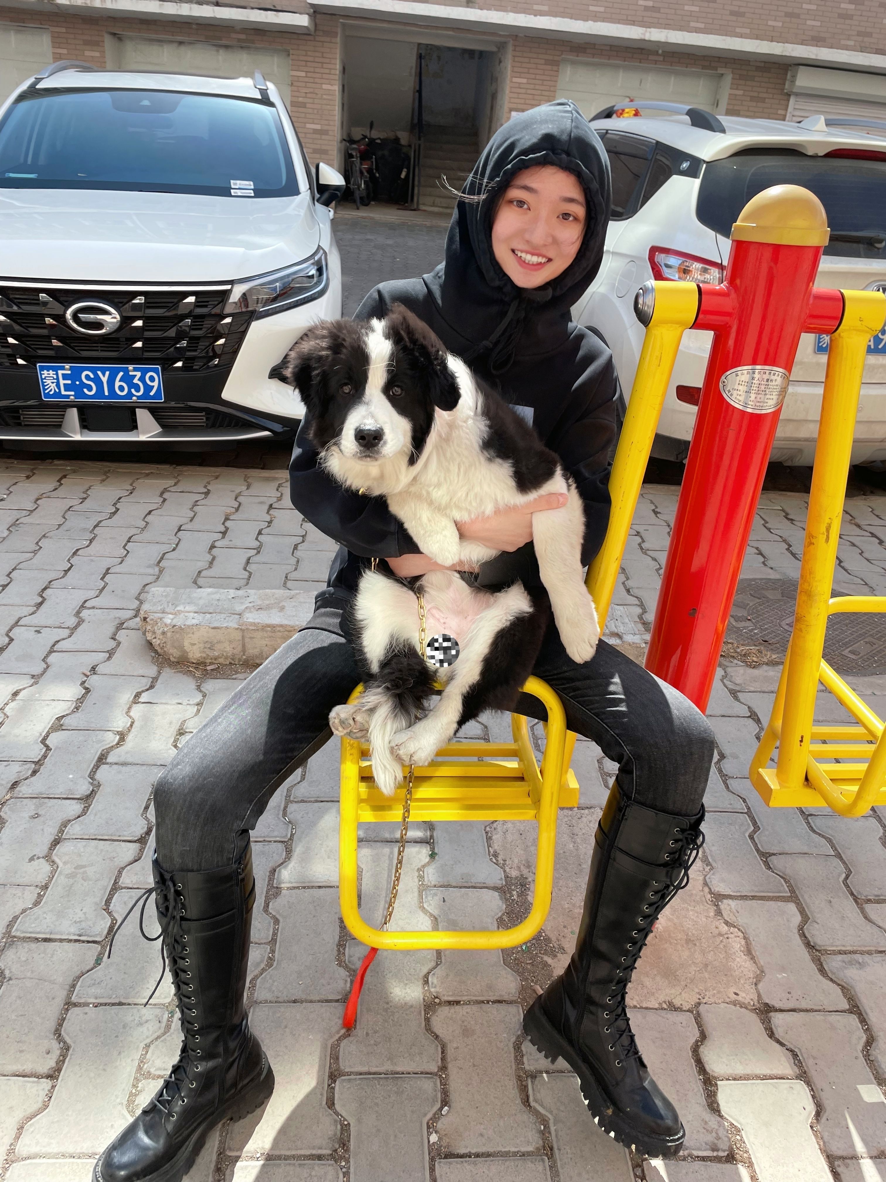 image-6