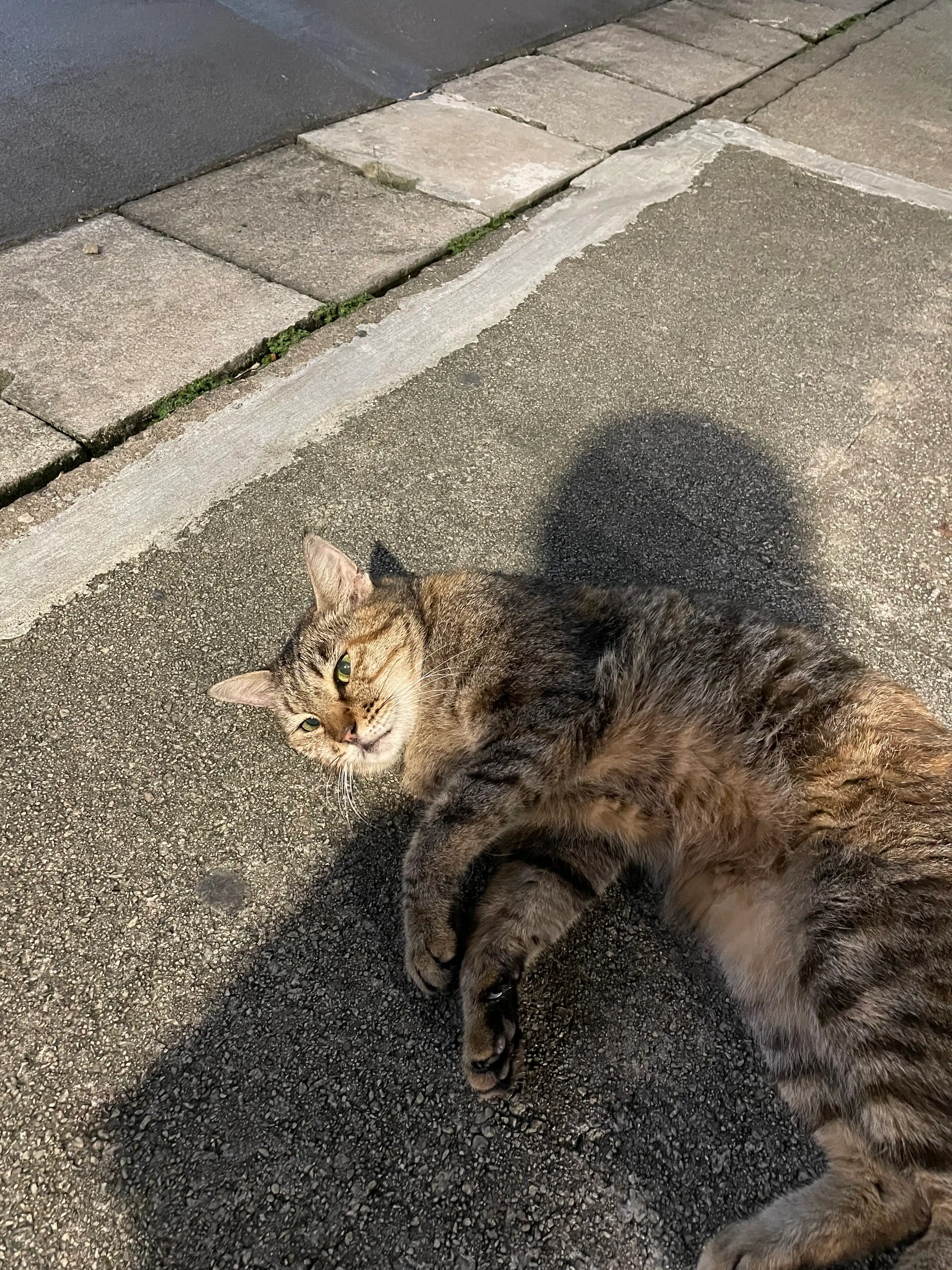 image-5
