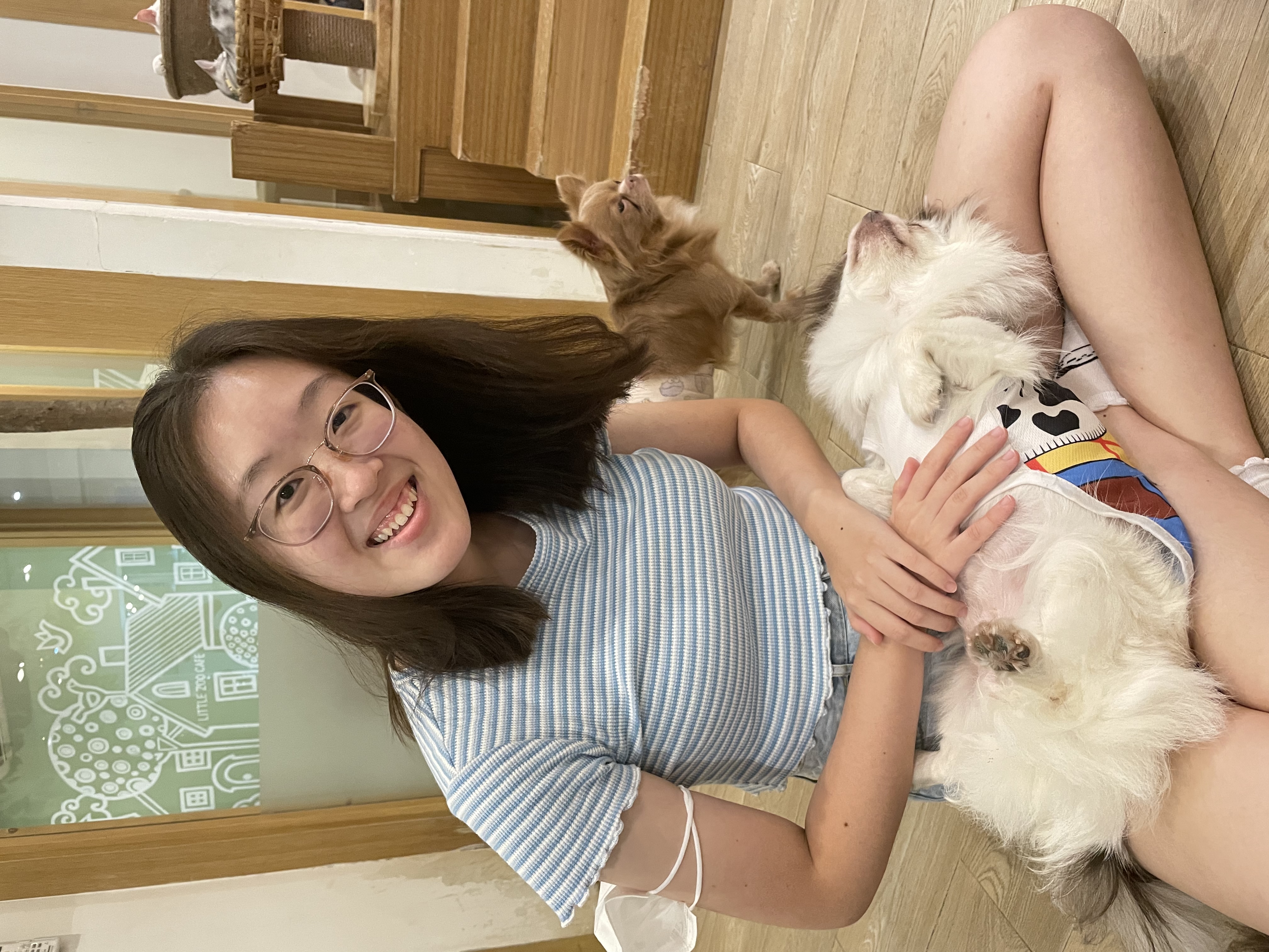 image-6