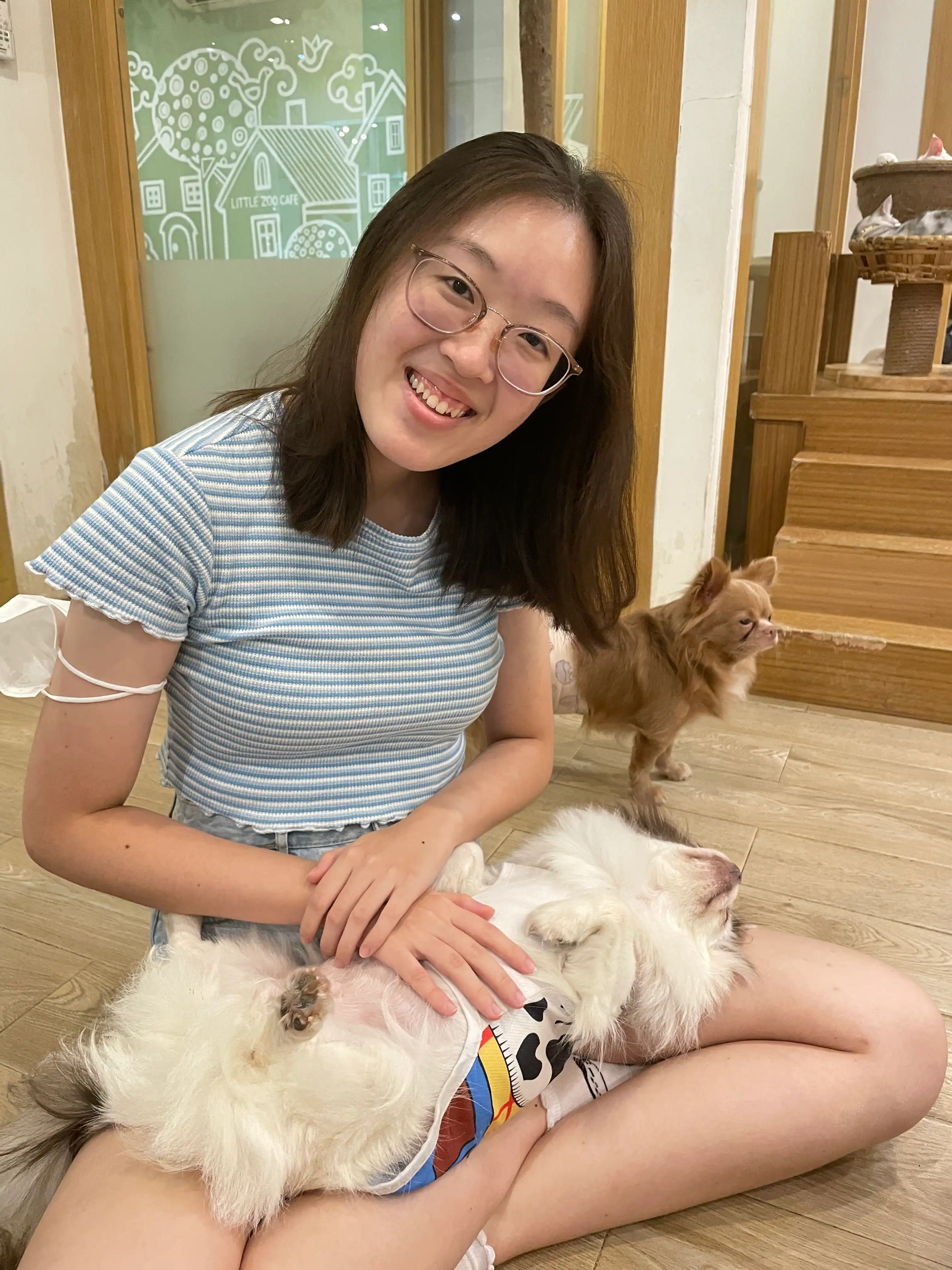 image-6