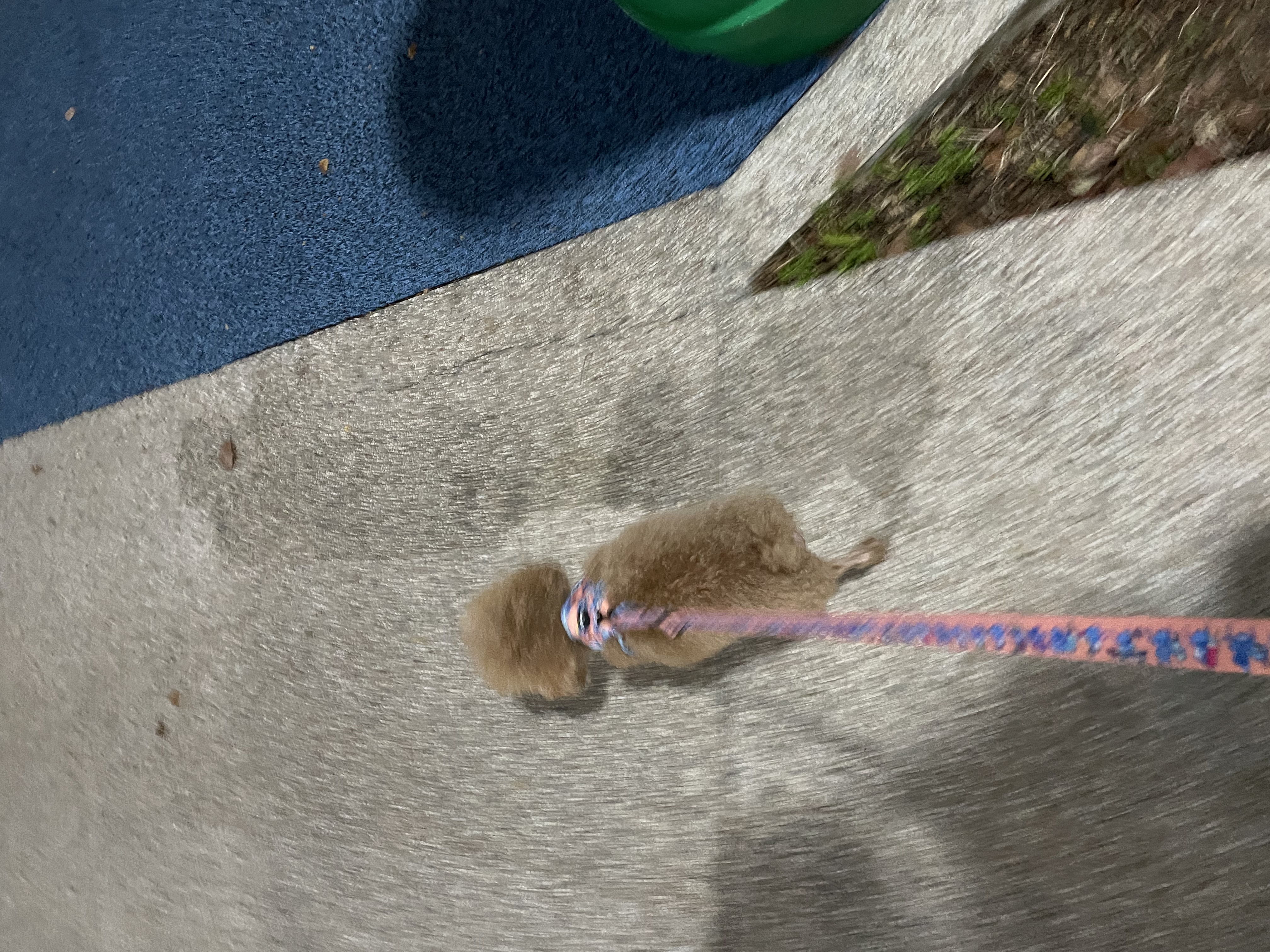 image-4