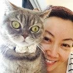 Portrait of Grevy (in a better place 🌈), the cat
