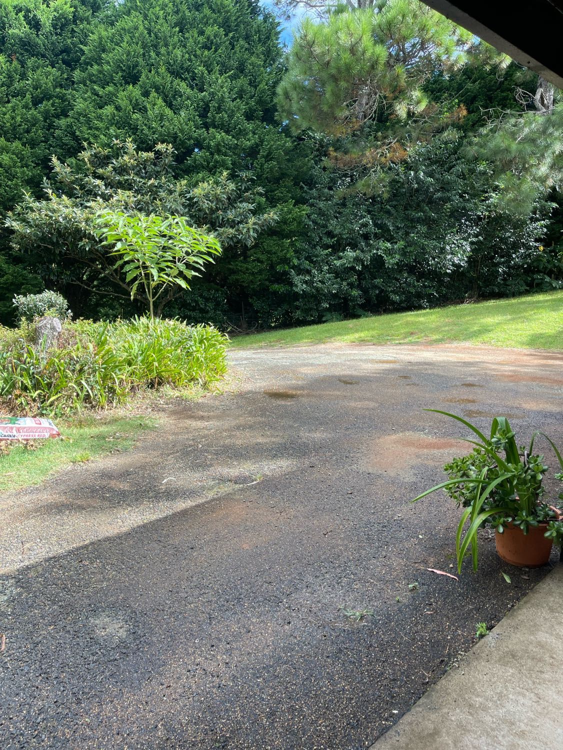image-19