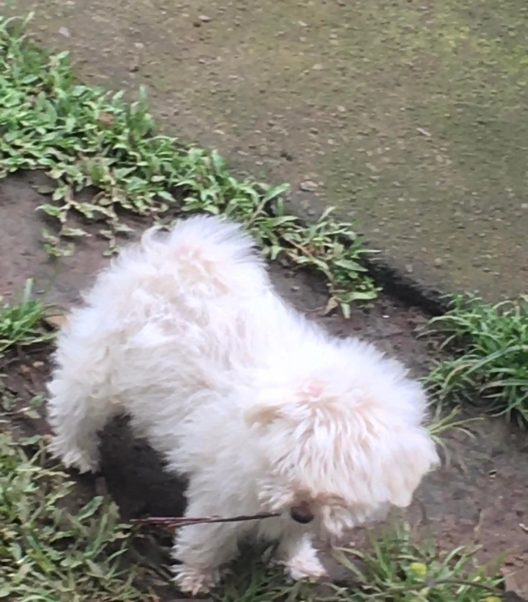 image-12