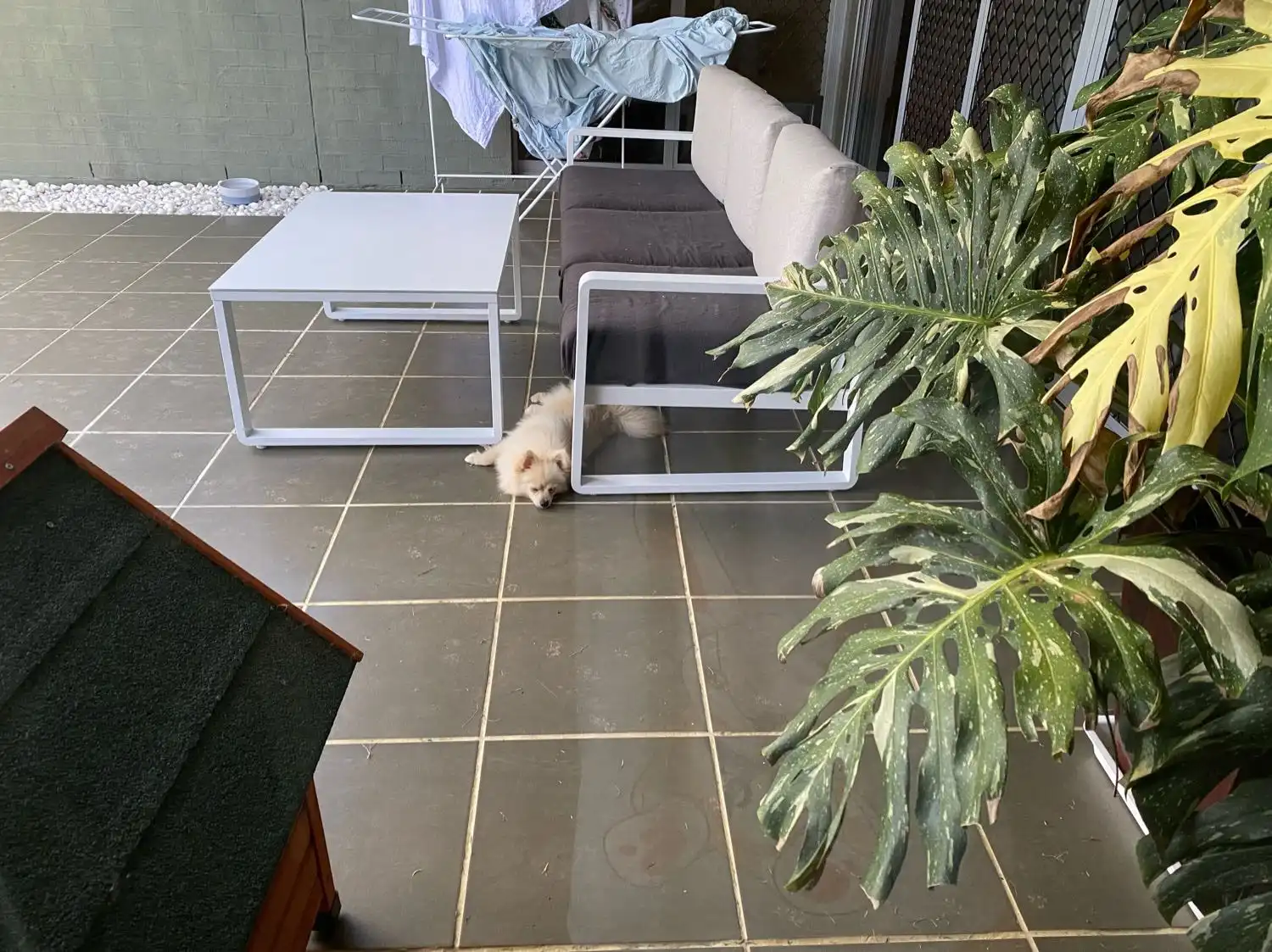 image-6