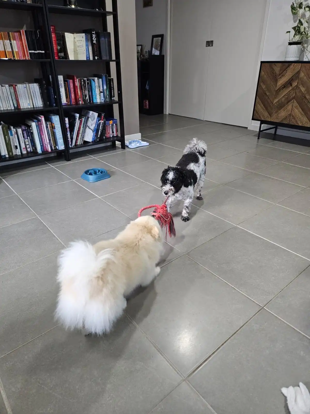 image-14