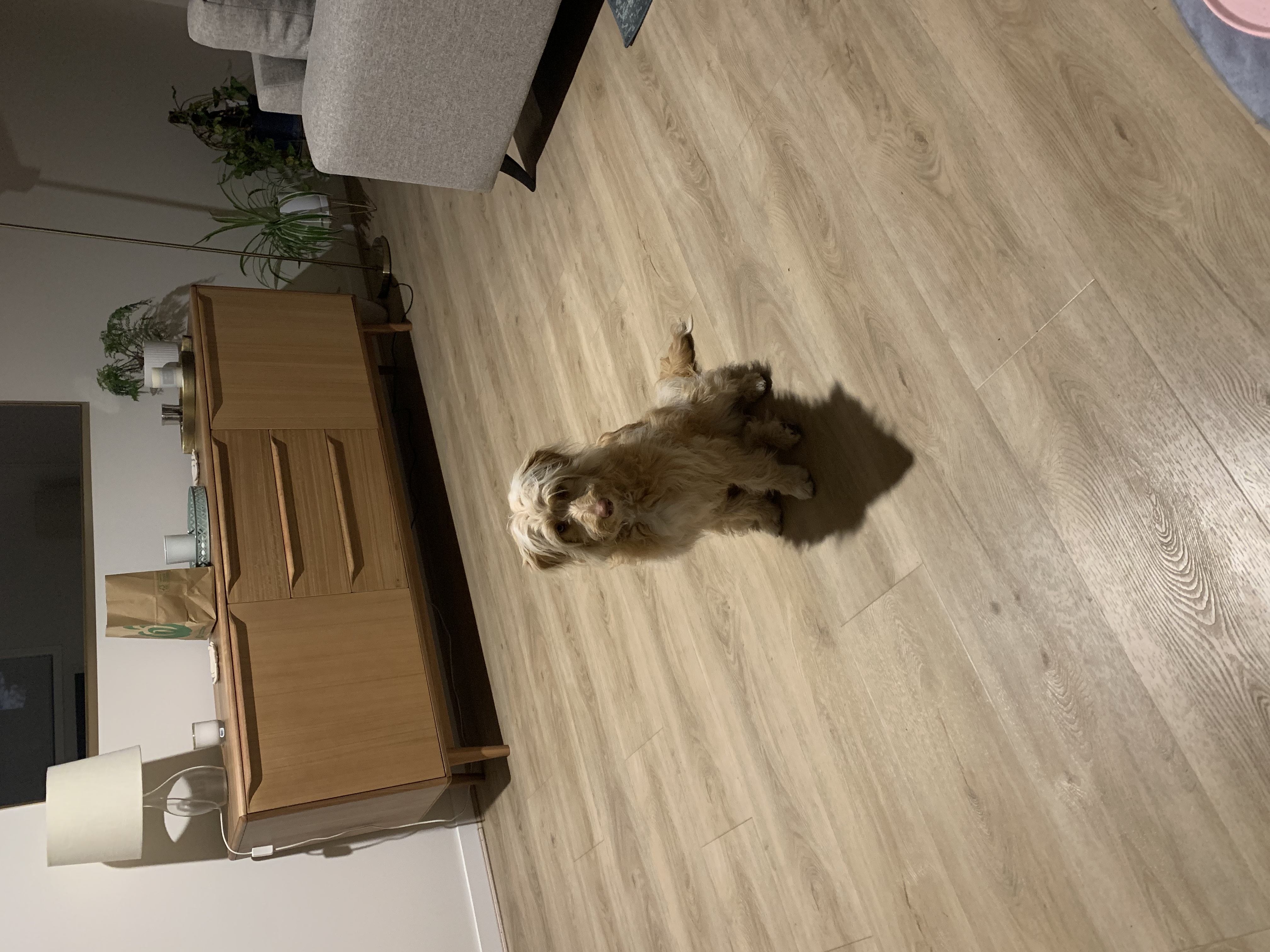 image-13