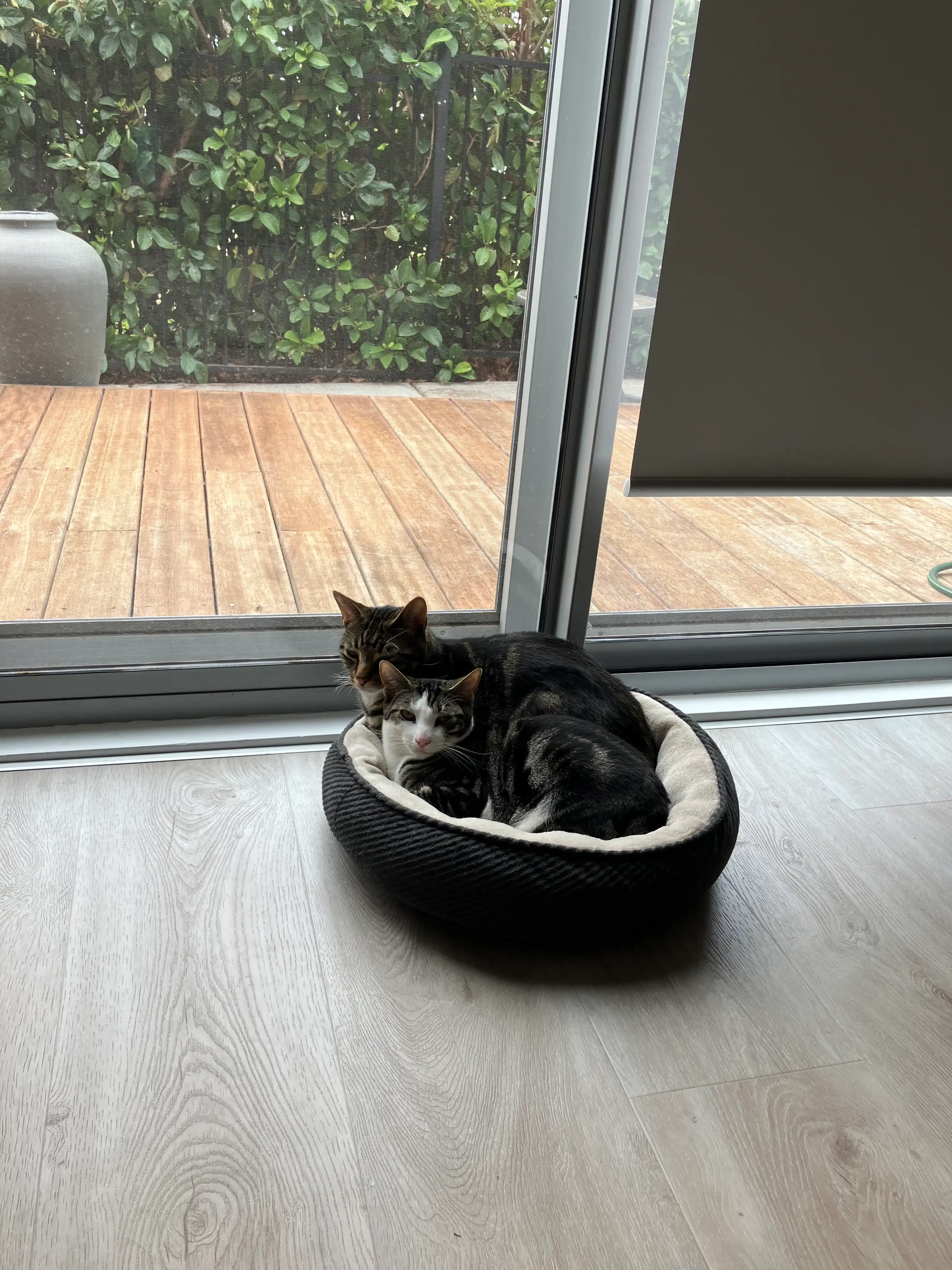 image-12