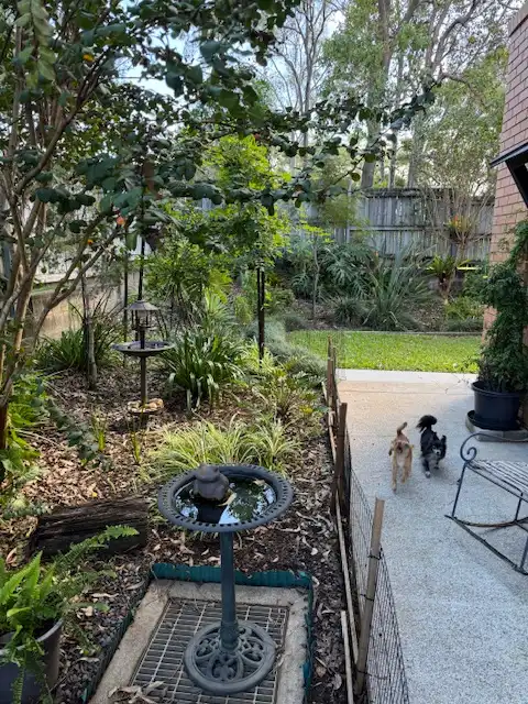 image-18