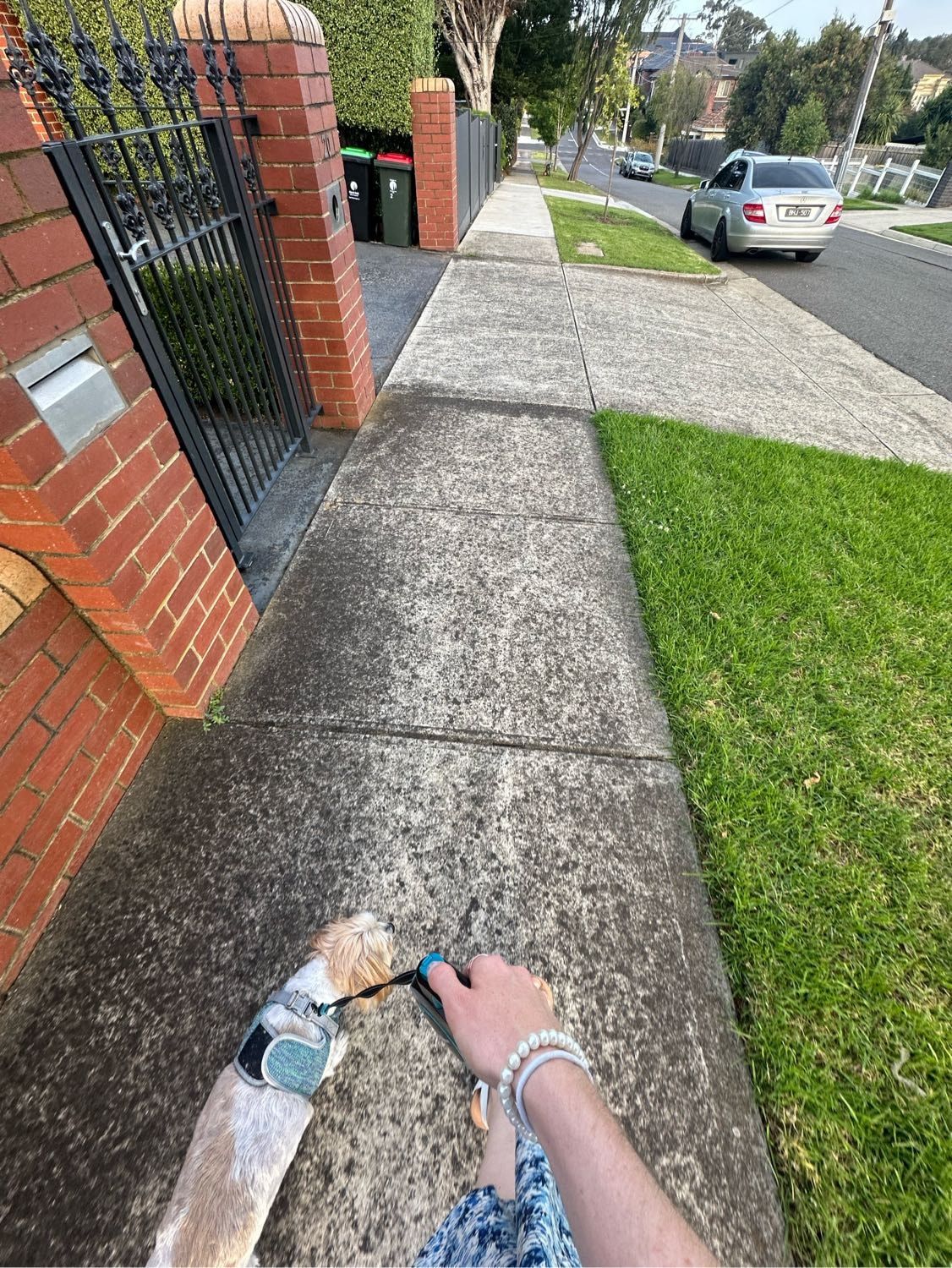 image-9