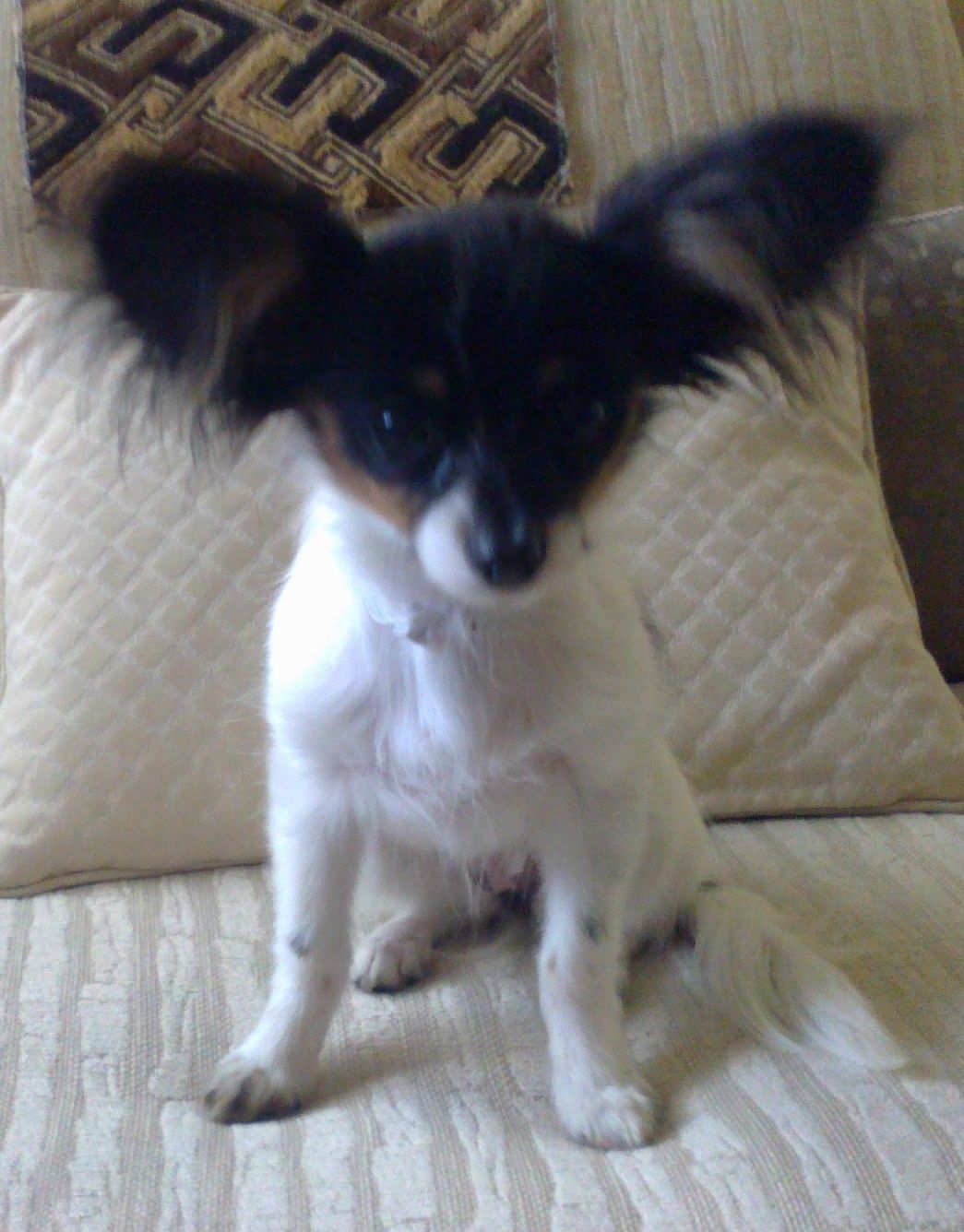 image-7