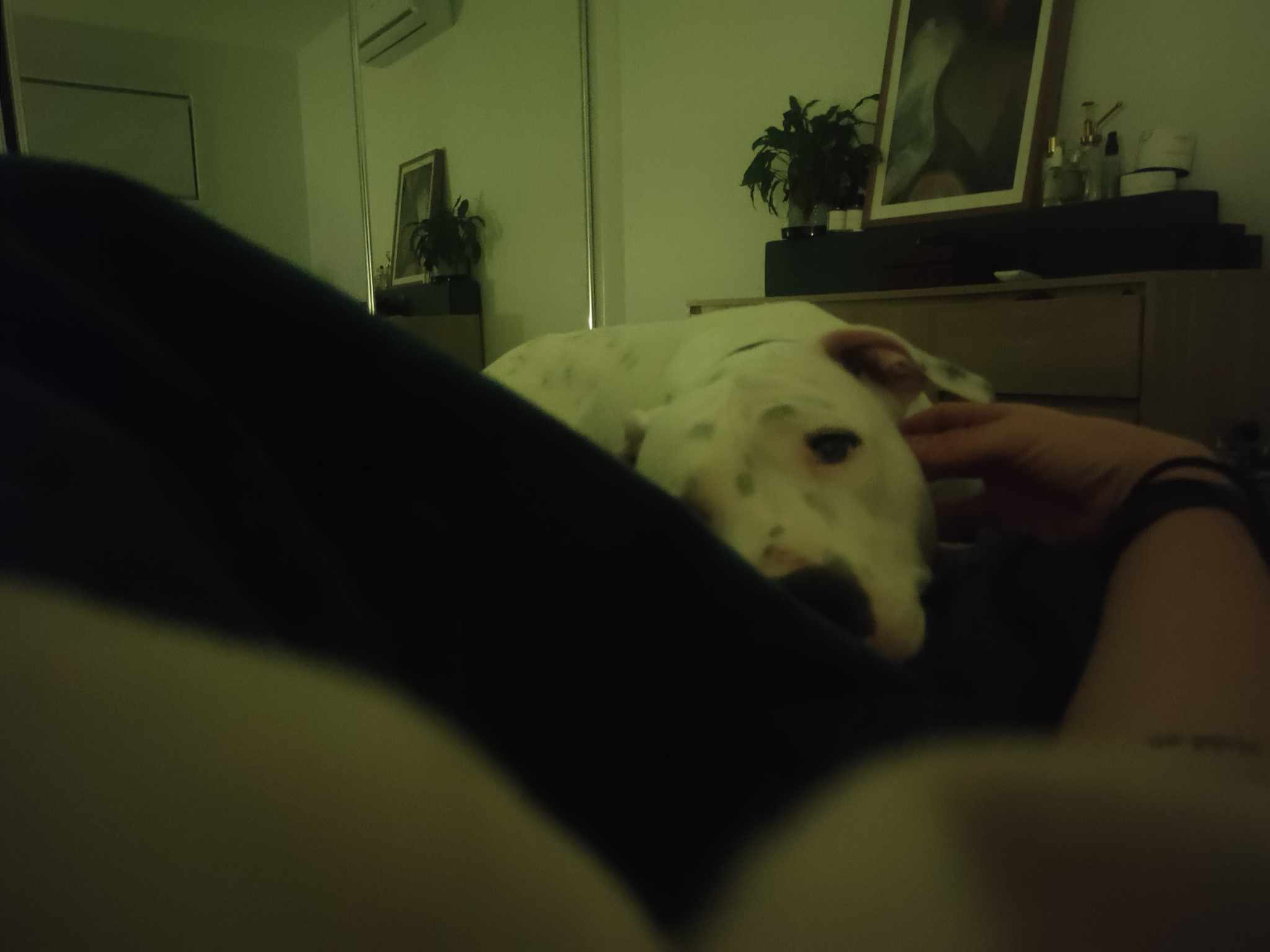image-8