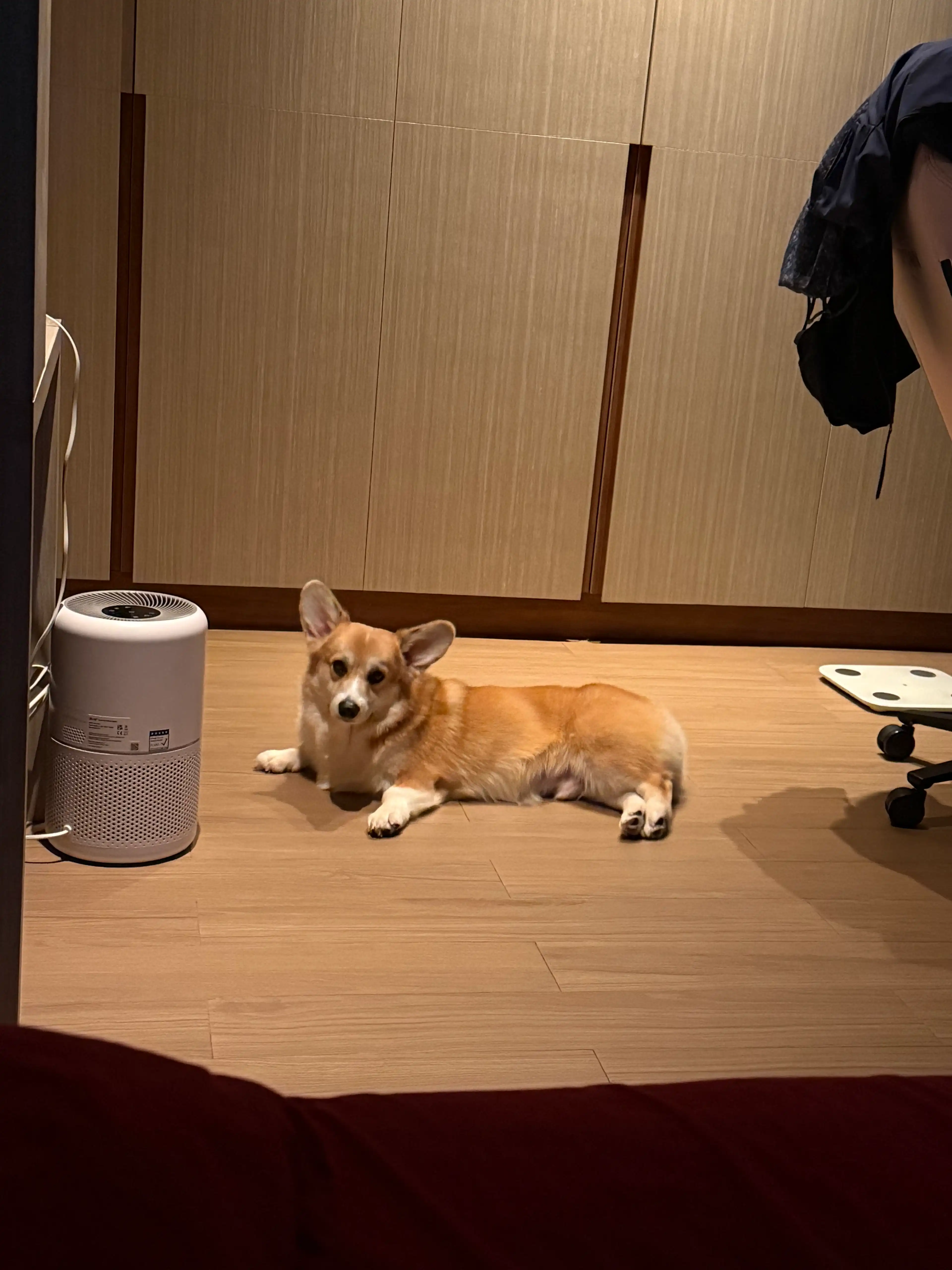image-6