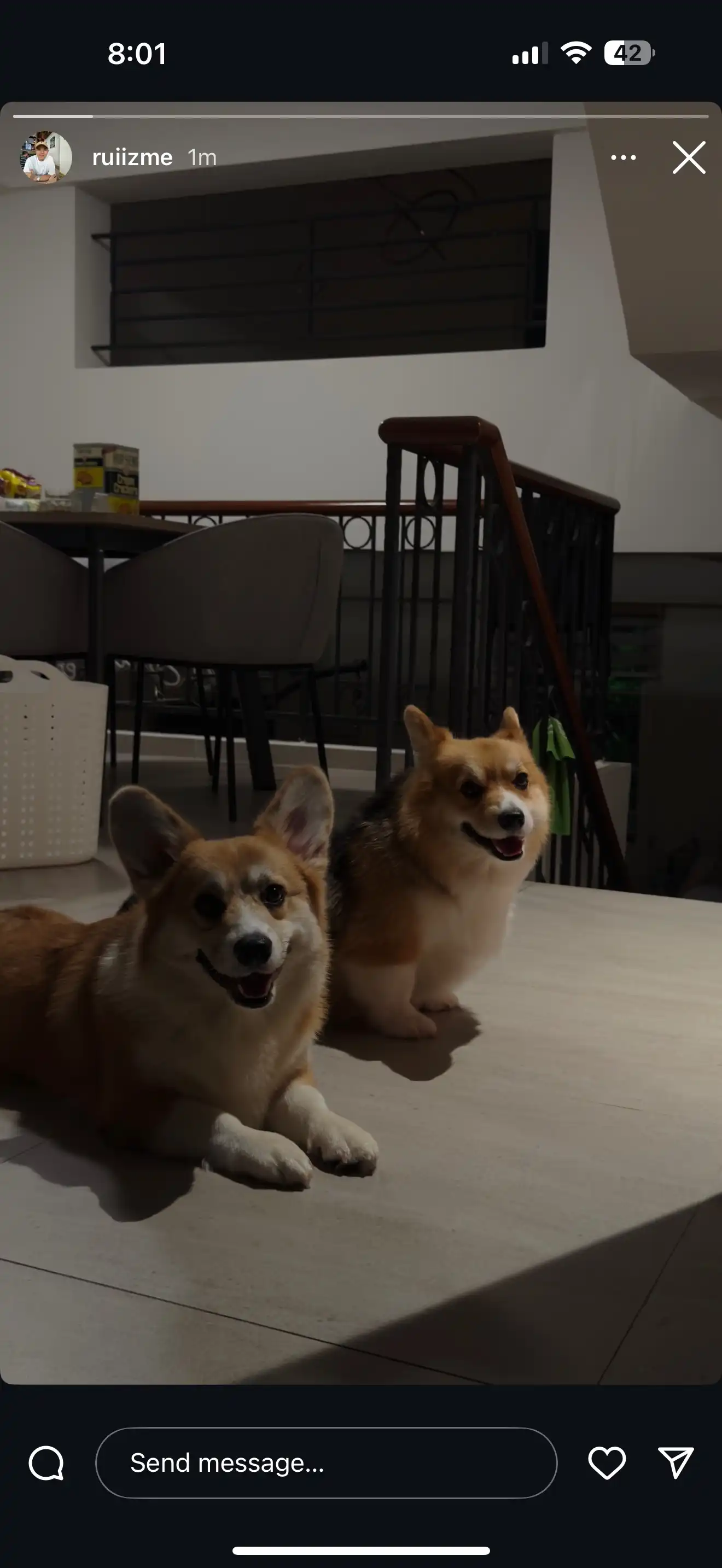 image-8