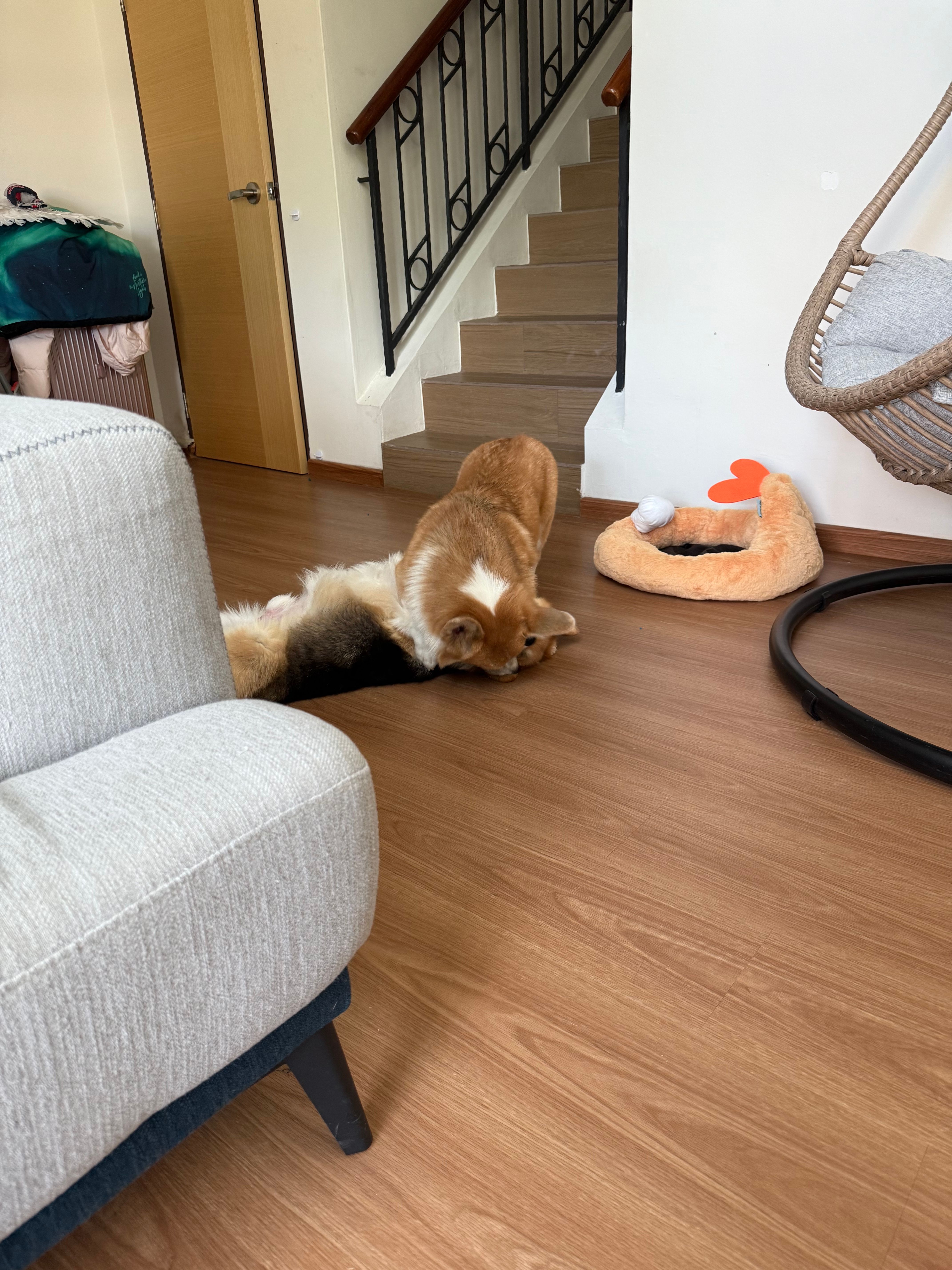 image-11