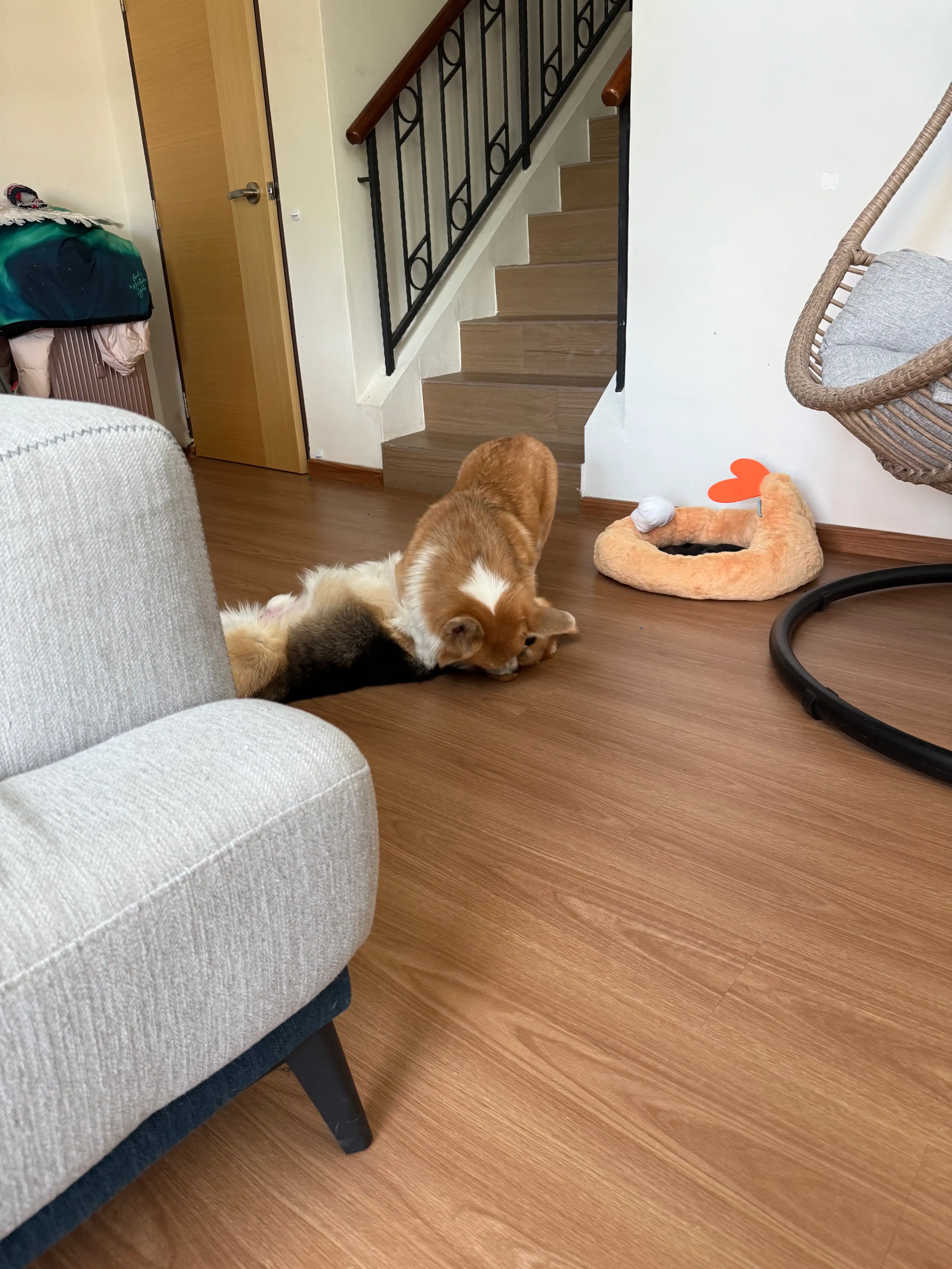 image-11