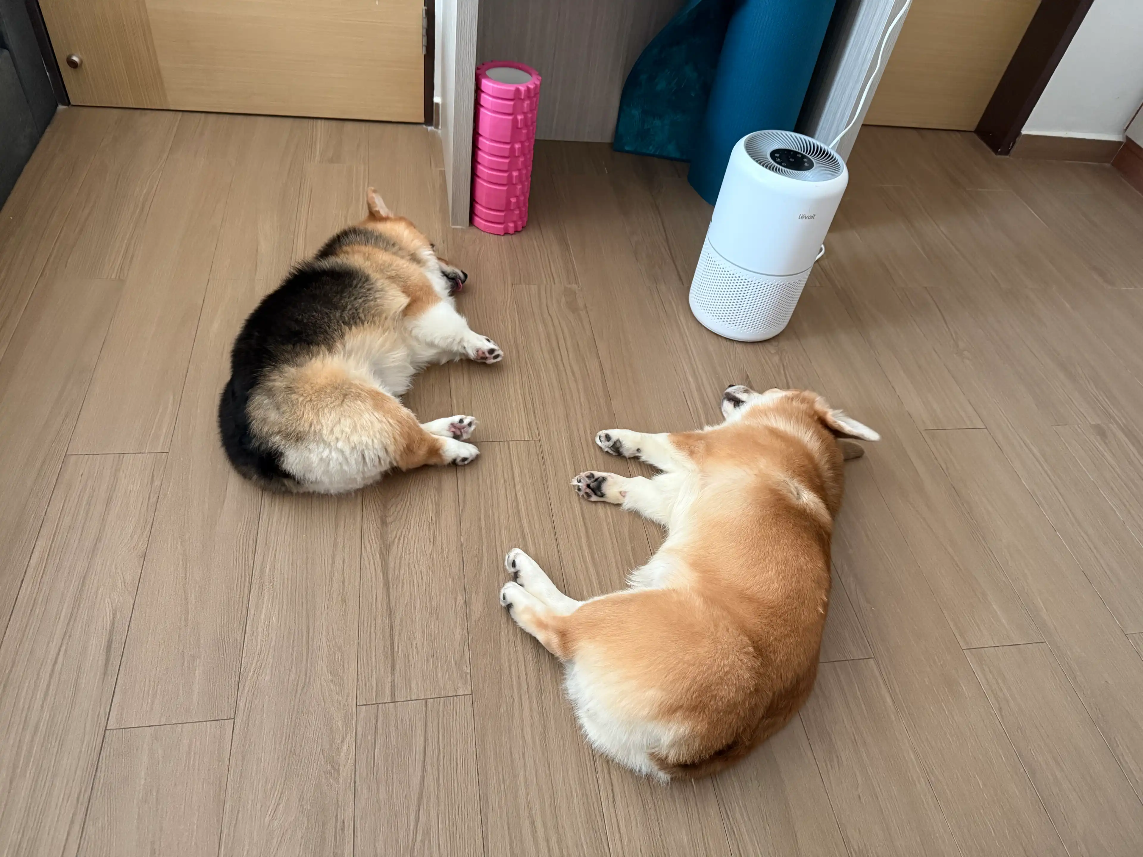 image-7