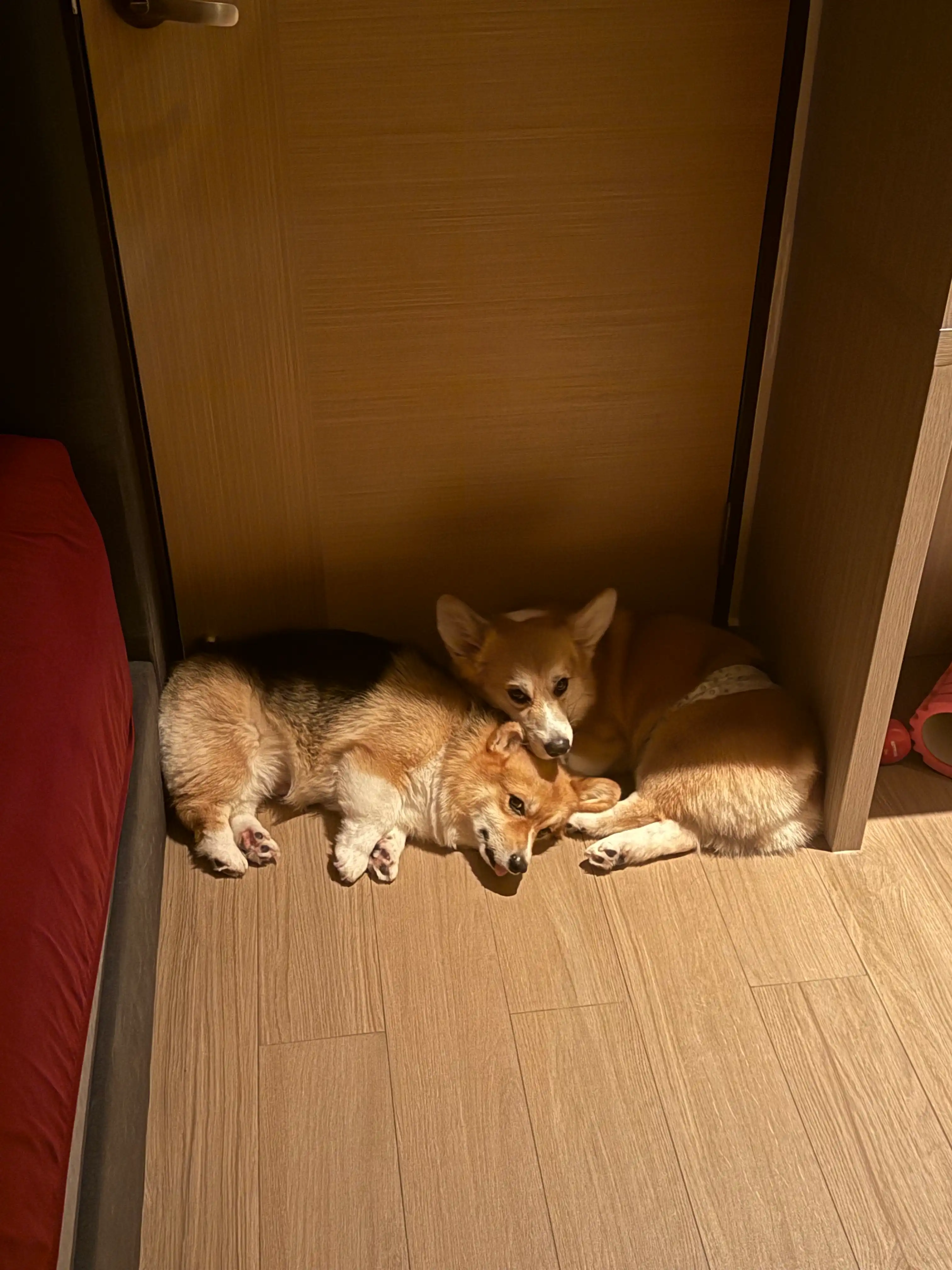 image-5