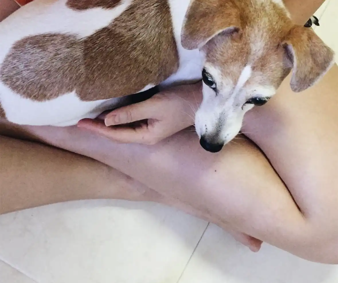 image-6