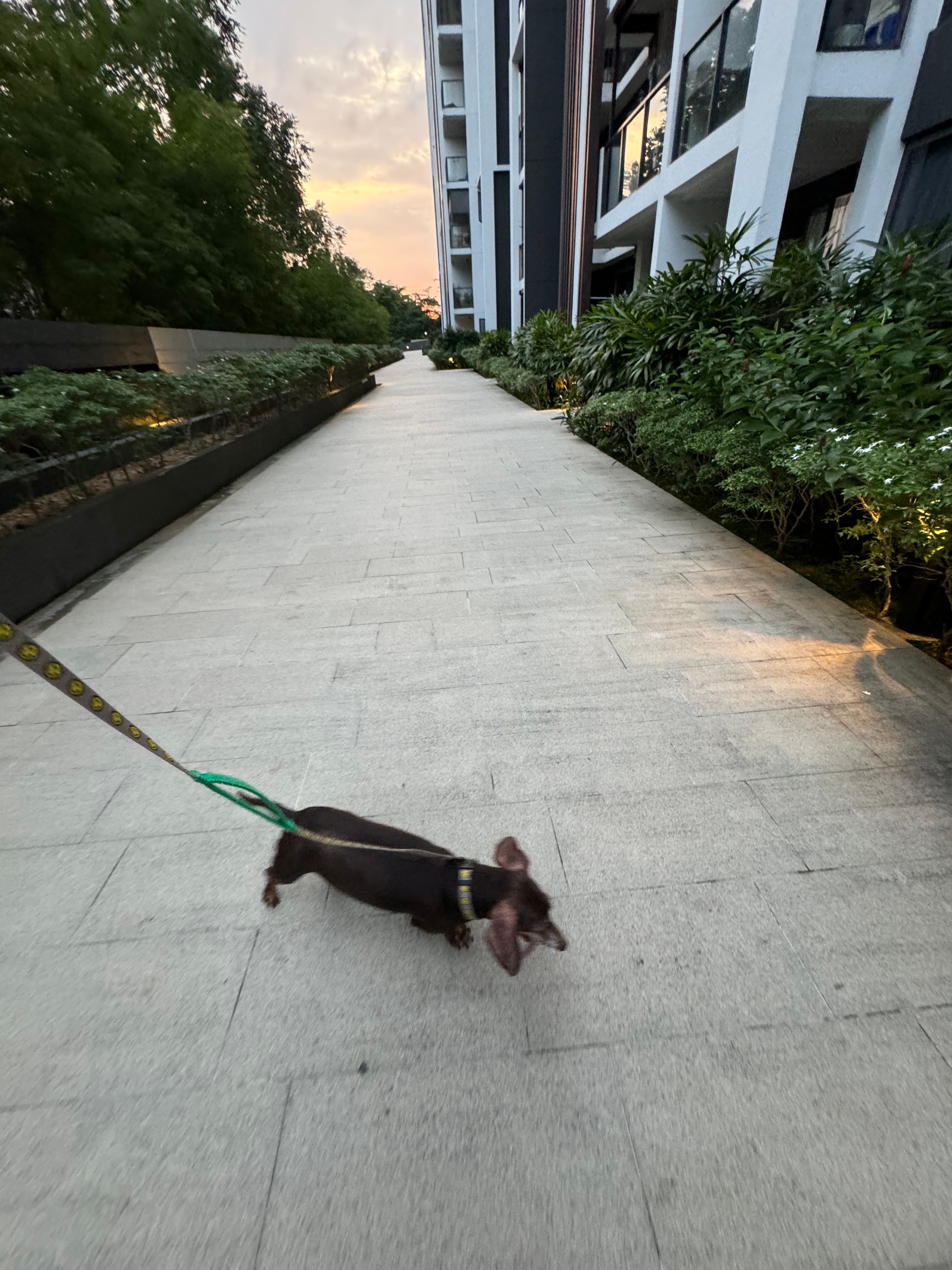 image-8