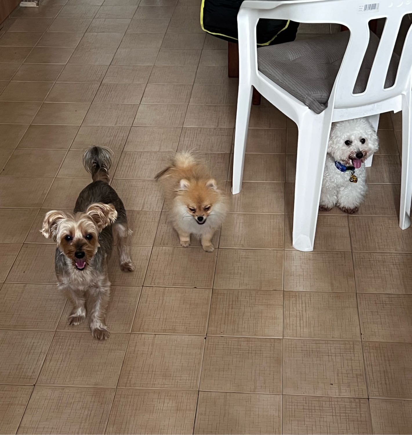 image-16