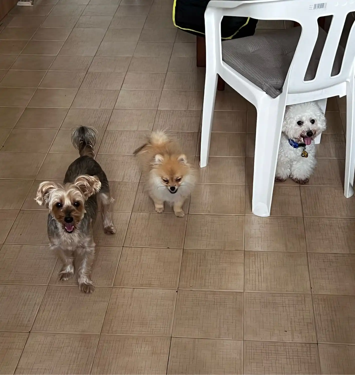 image-16