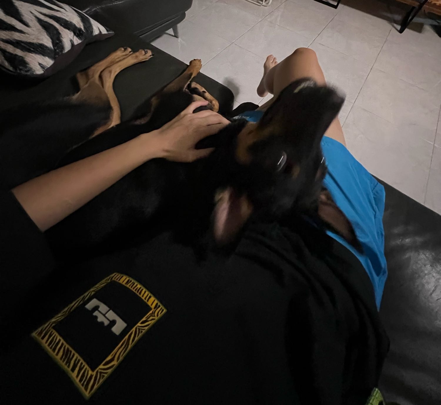 image-10