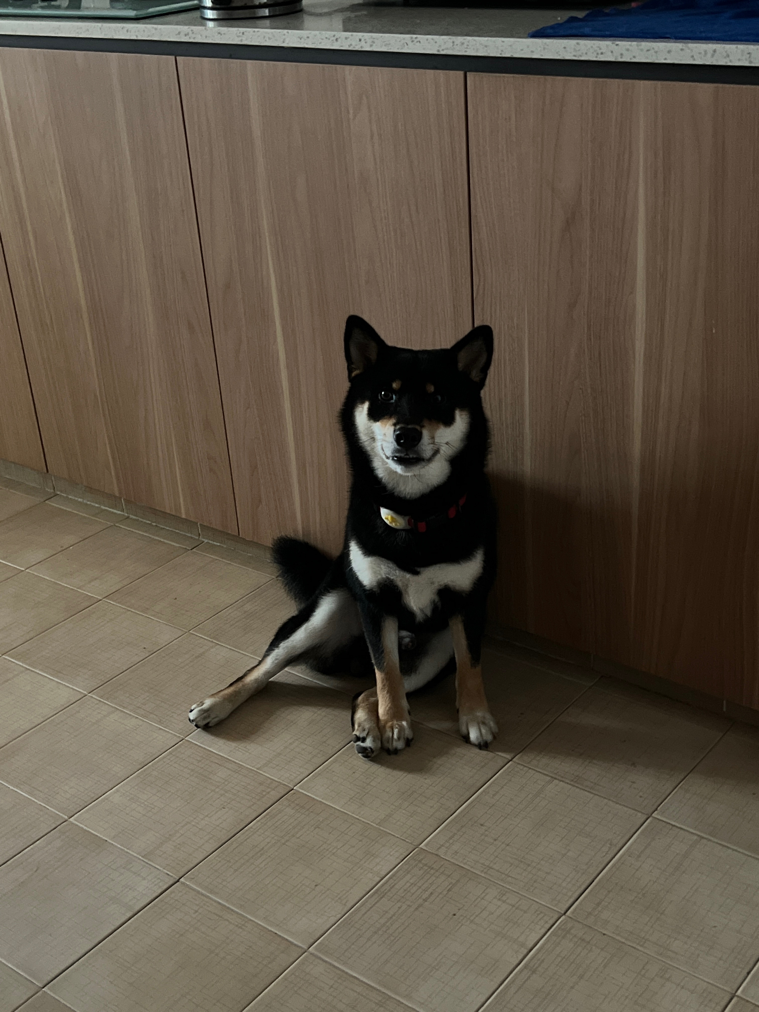 image-22