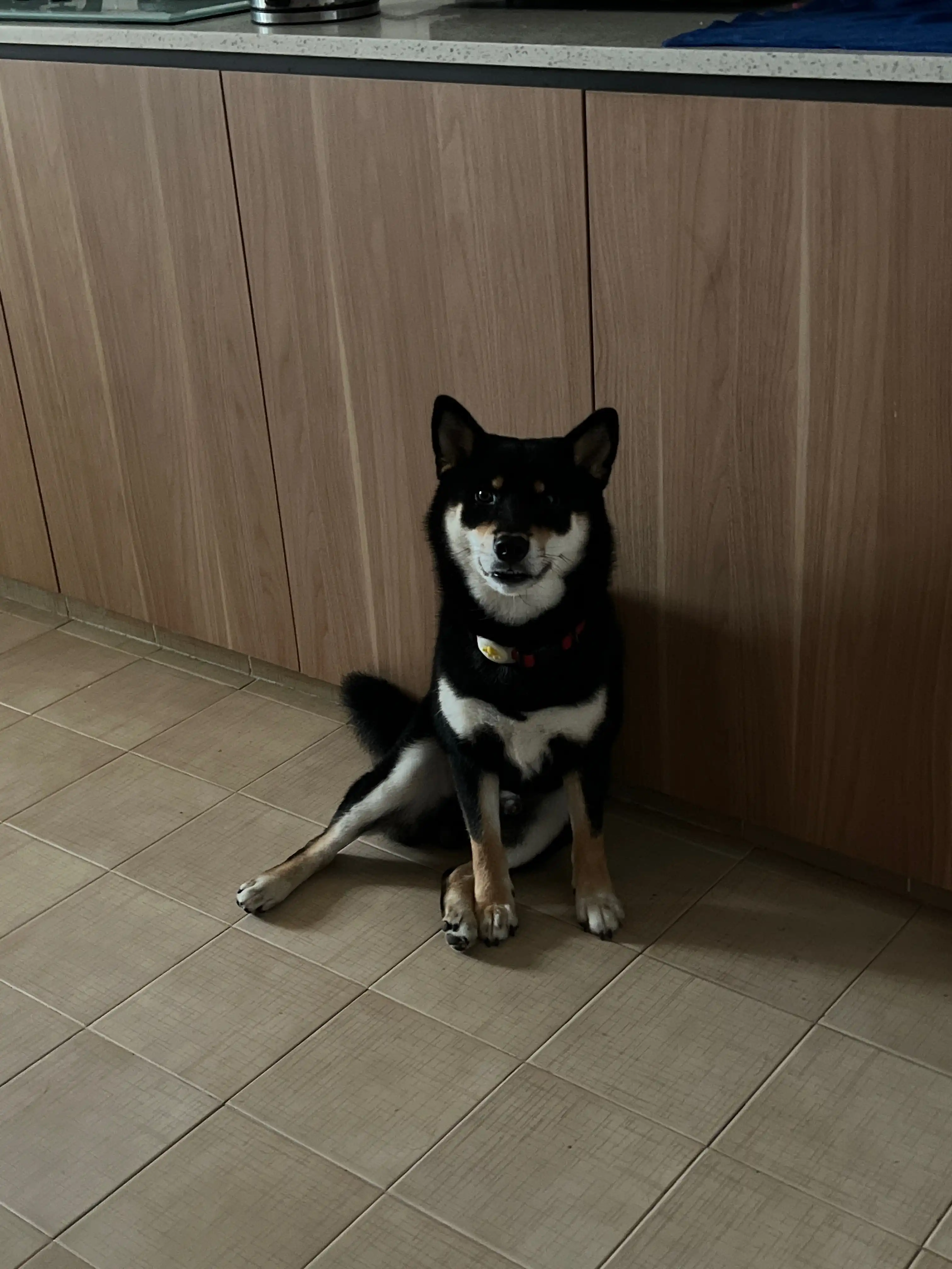 image-22