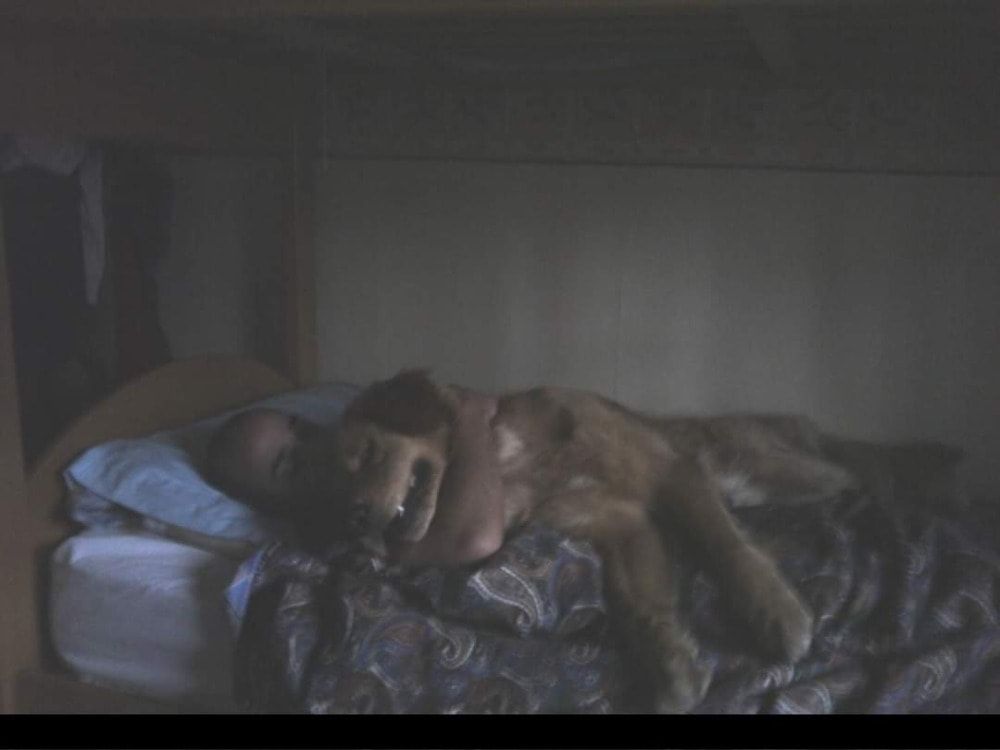 image-6