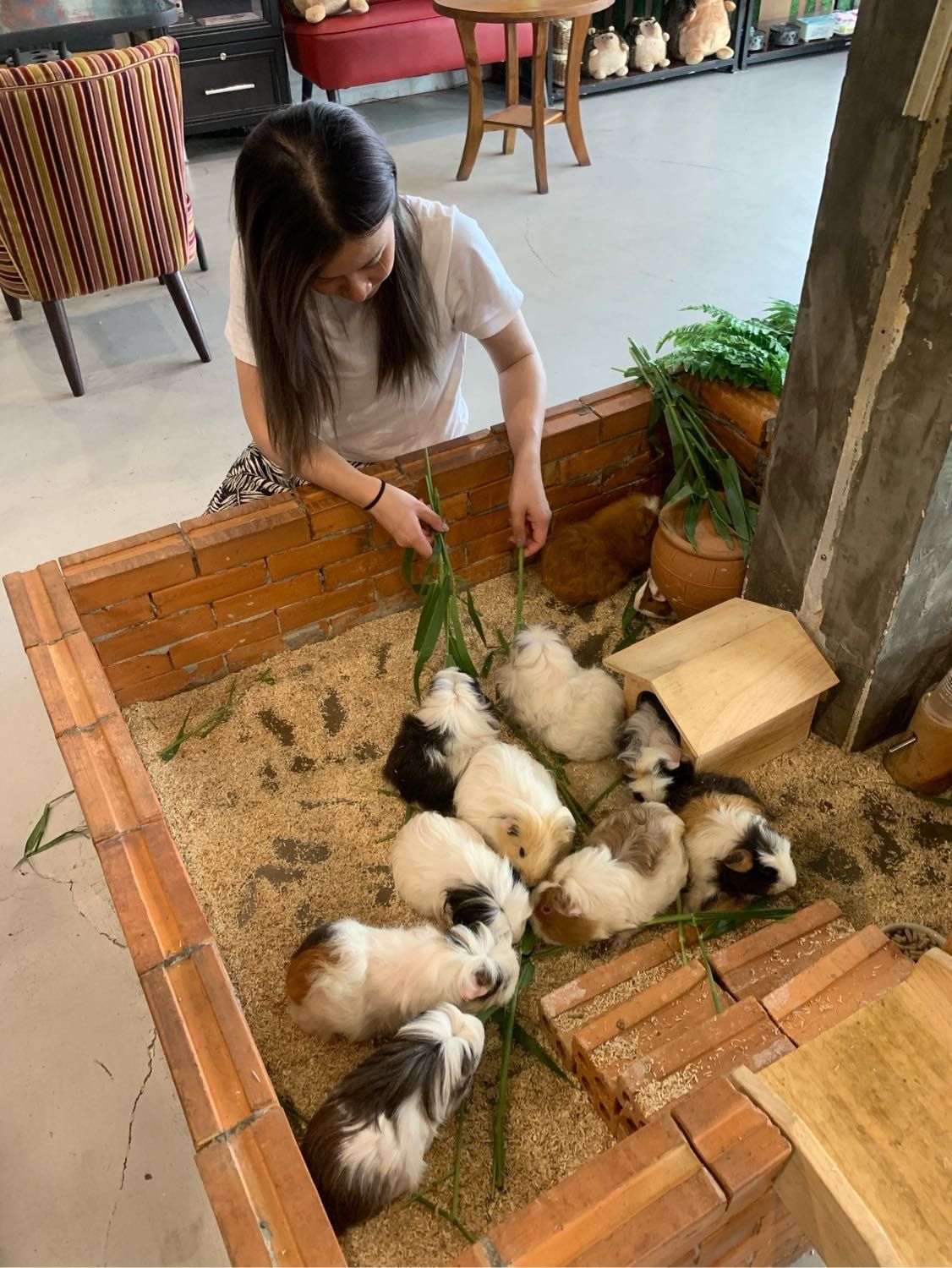 image-10