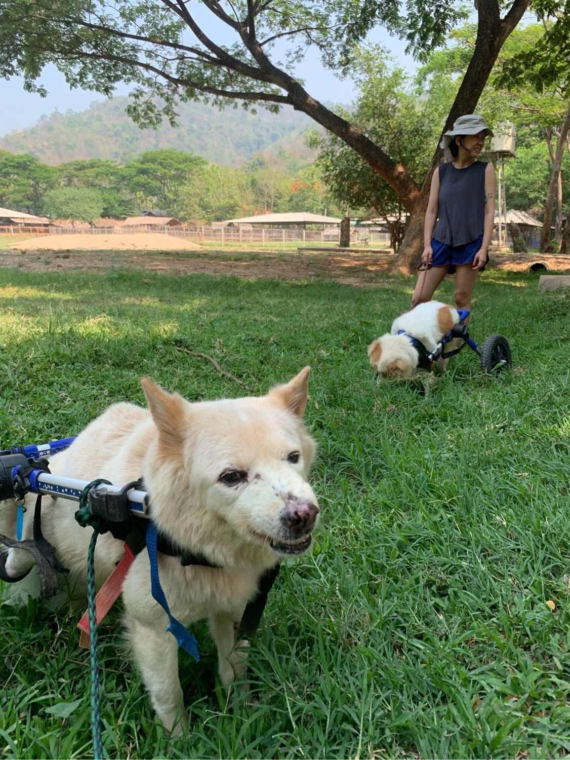 image-11