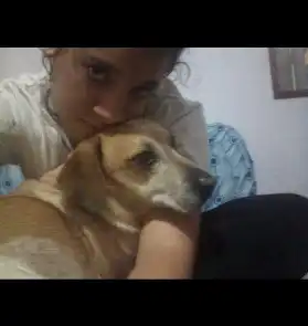 image-16