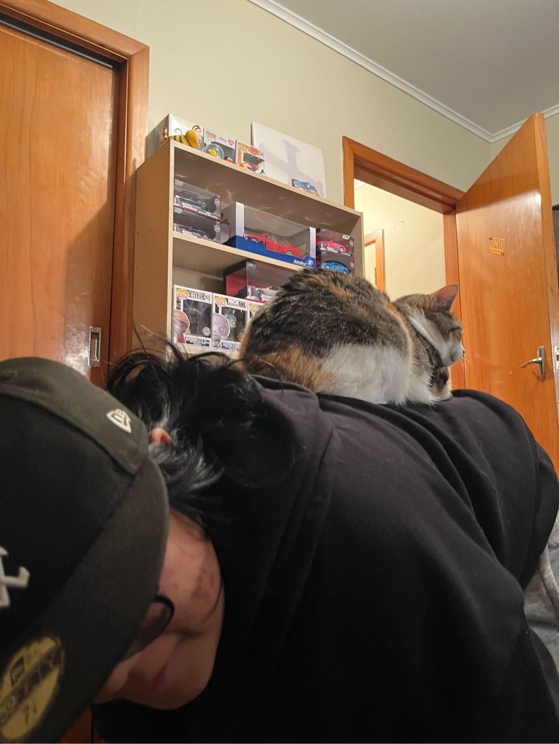image-8