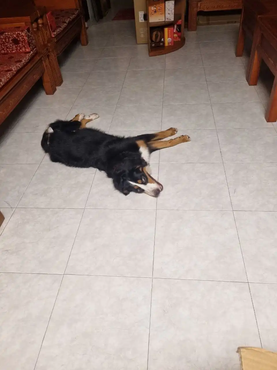 image-9